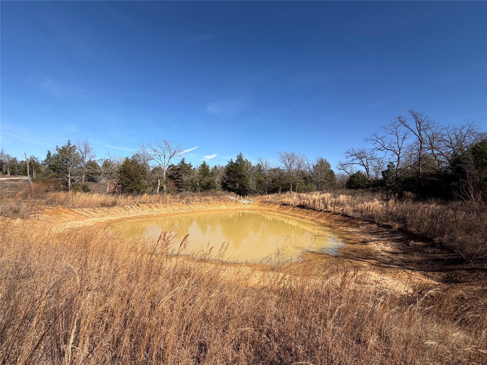 Lot 20 Cr 389 Property Photo 15