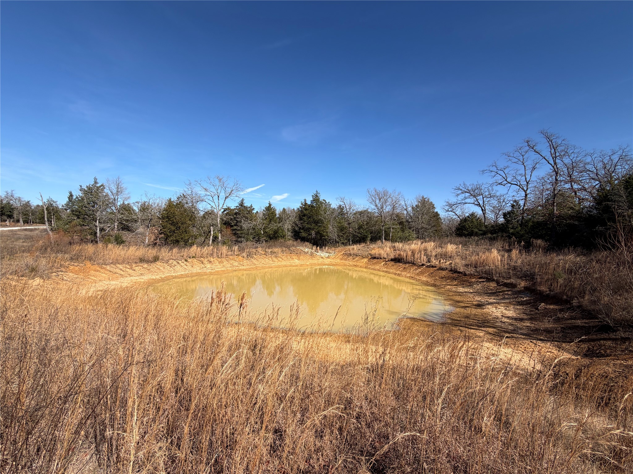 Lot 20 Cr 389 Property Photo 17