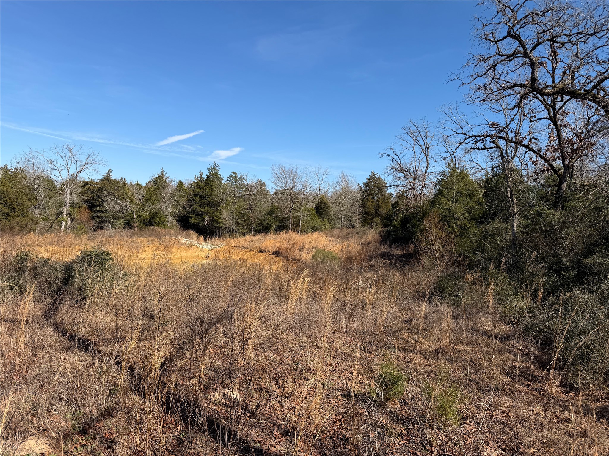 Lot 20 Cr 389 Property Photo 19