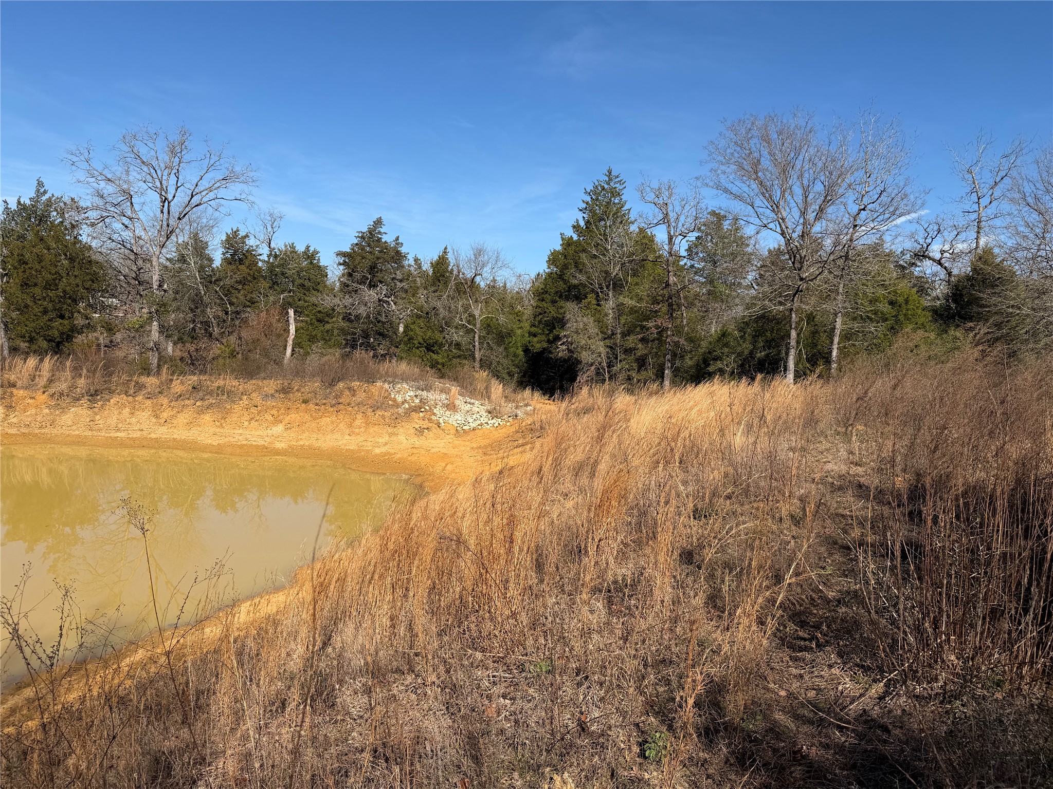 Lot 20 Cr 389 Property Photo 22