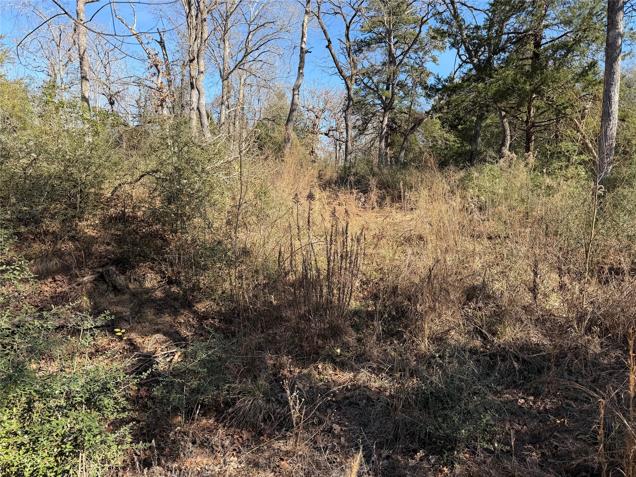 Lot 20 Cr 389 Property Photo 25