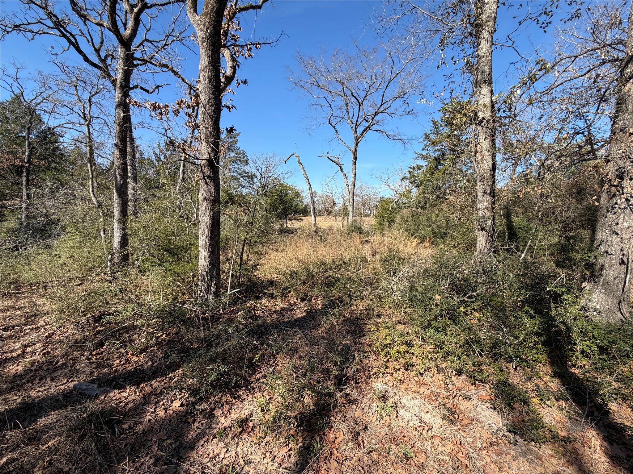 Lot 20 Cr 389 Property Photo 26