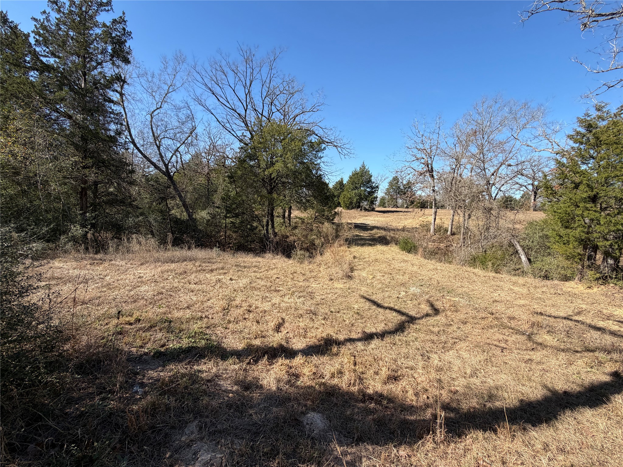 Lot 20 Cr 389 Property Photo 27