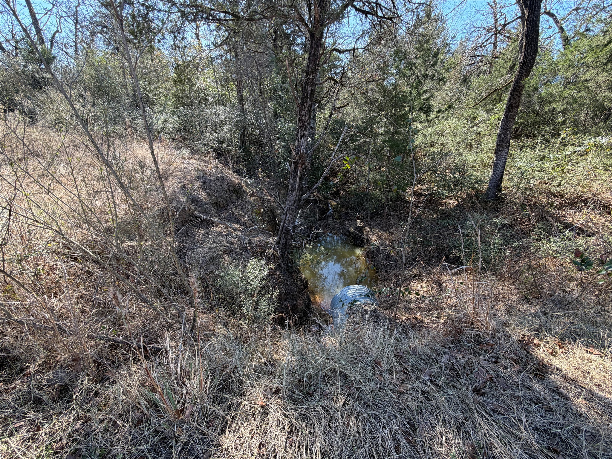 Lot 20 Cr 389 Property Photo 28