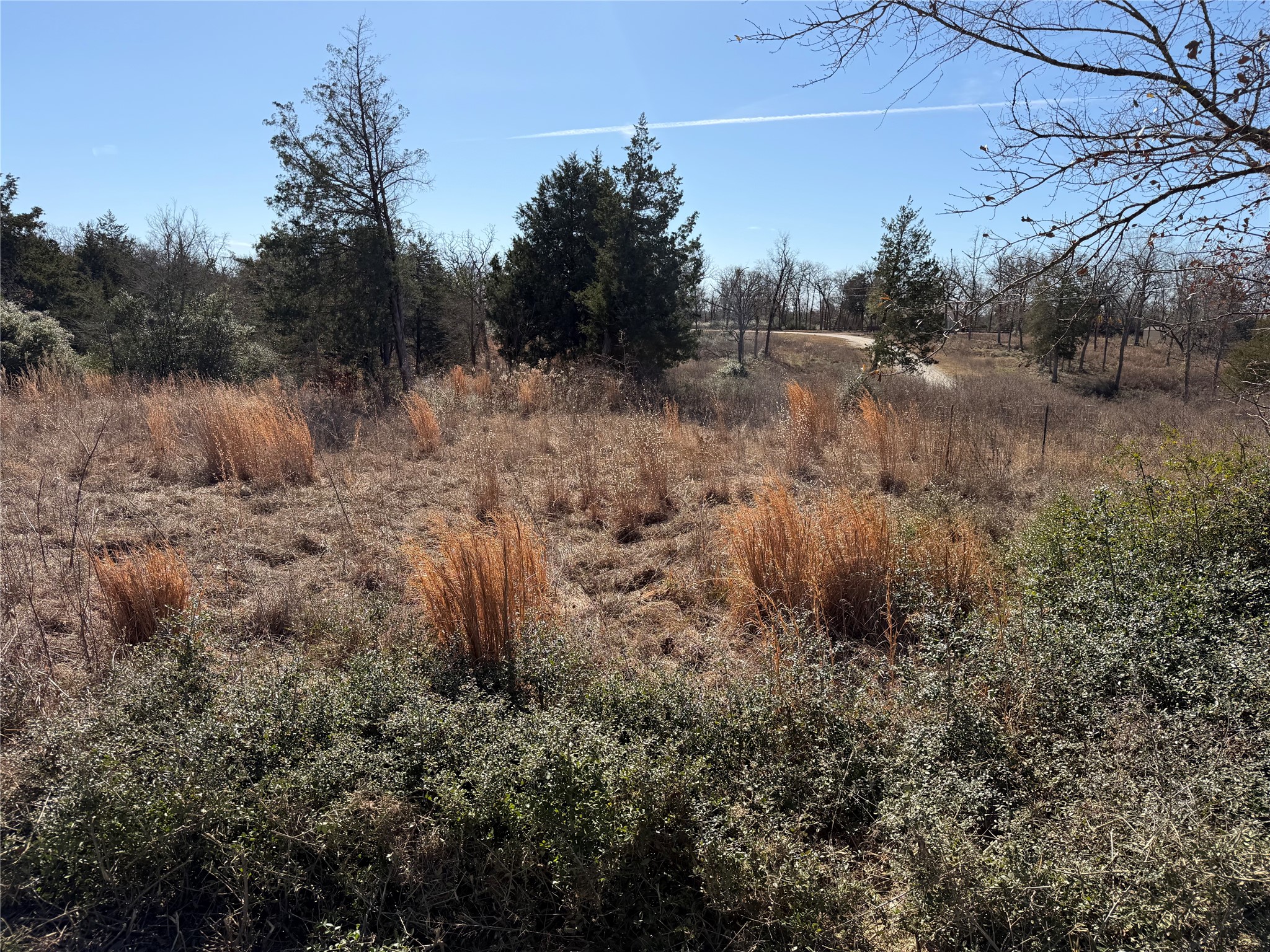 Lot 20 Cr 389 Property Photo 31