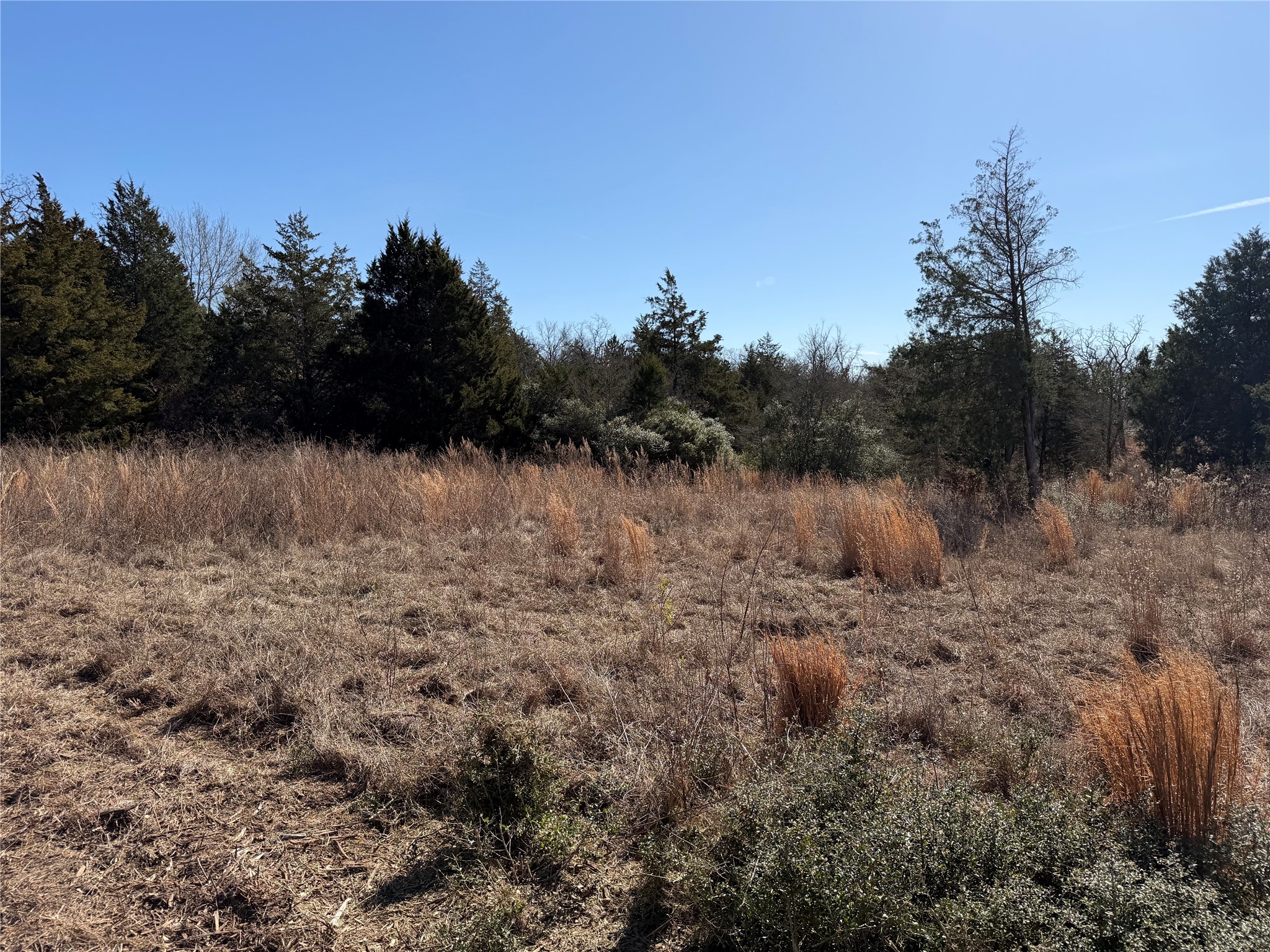 Lot 20 Cr 389 Property Photo 32