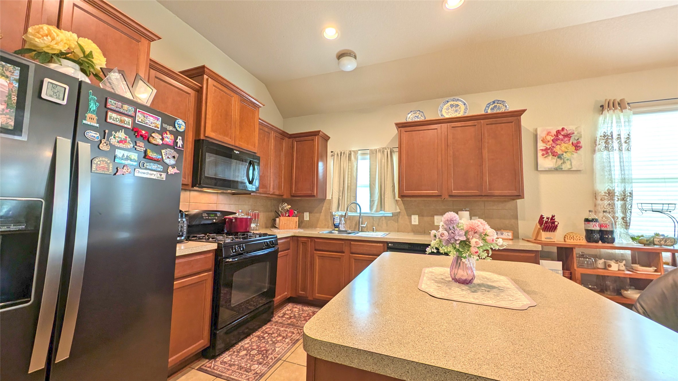 14715 Palladio Drive Property Photo 11