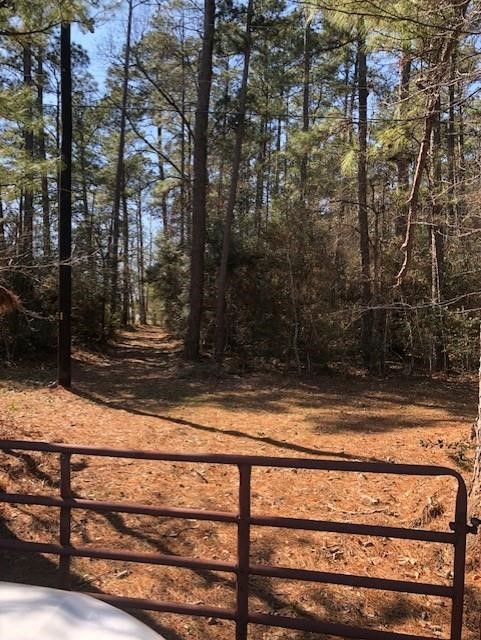 4525 N Fm 1486 Road Property Photo 8