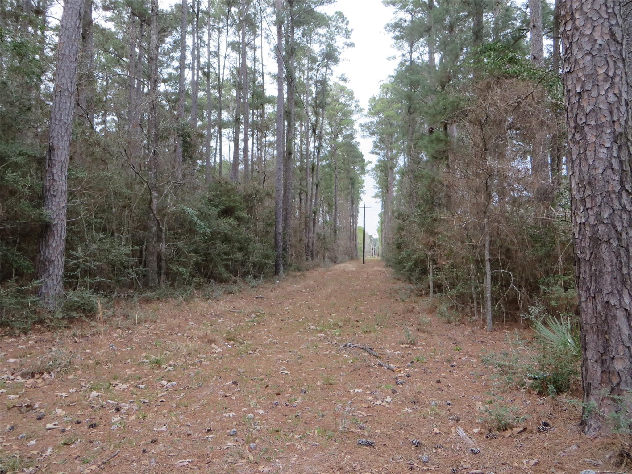 4525 N Fm 1486 Road Property Photo 10