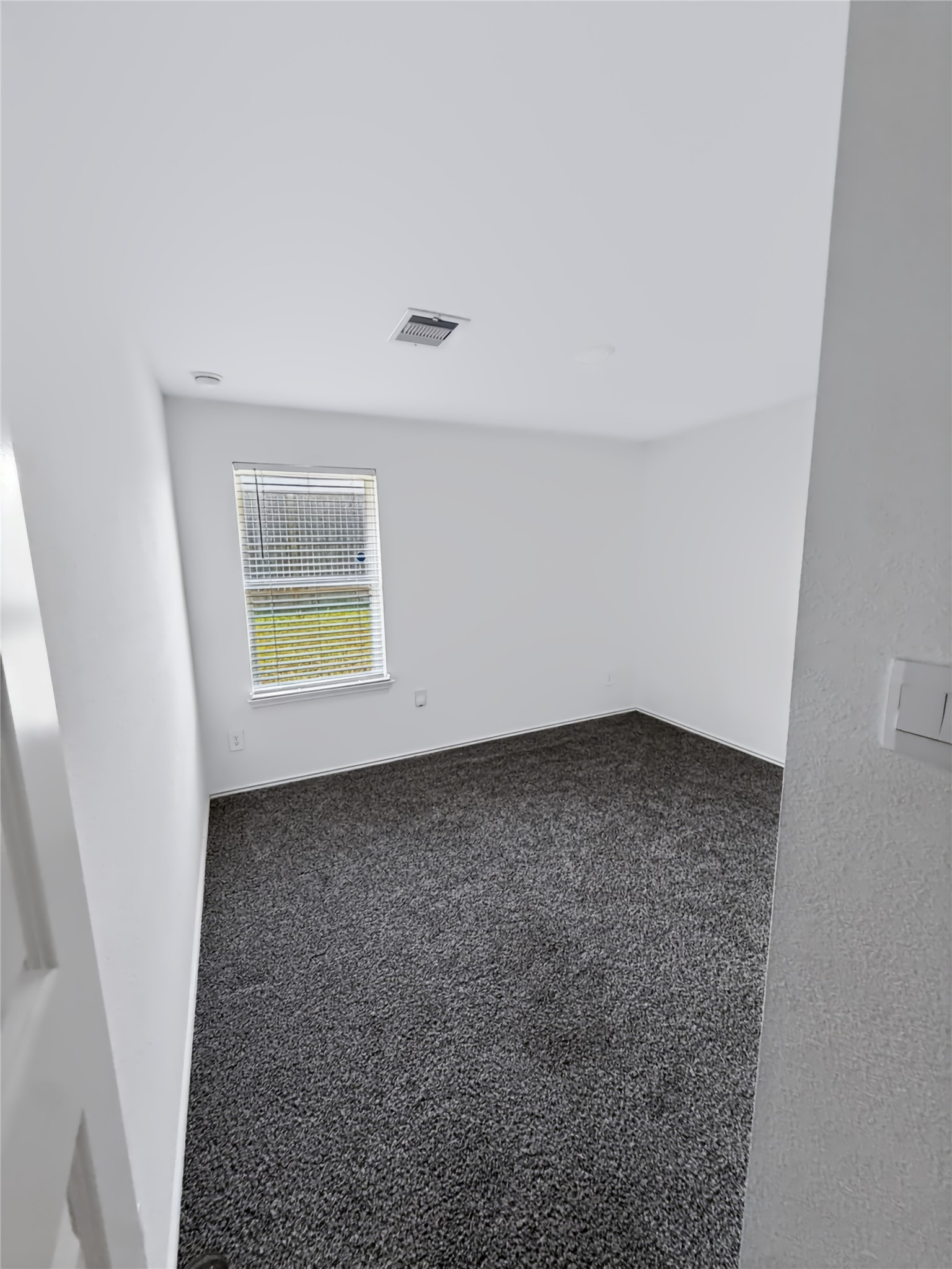 7406 Elm Landing Lane Property Photo 21