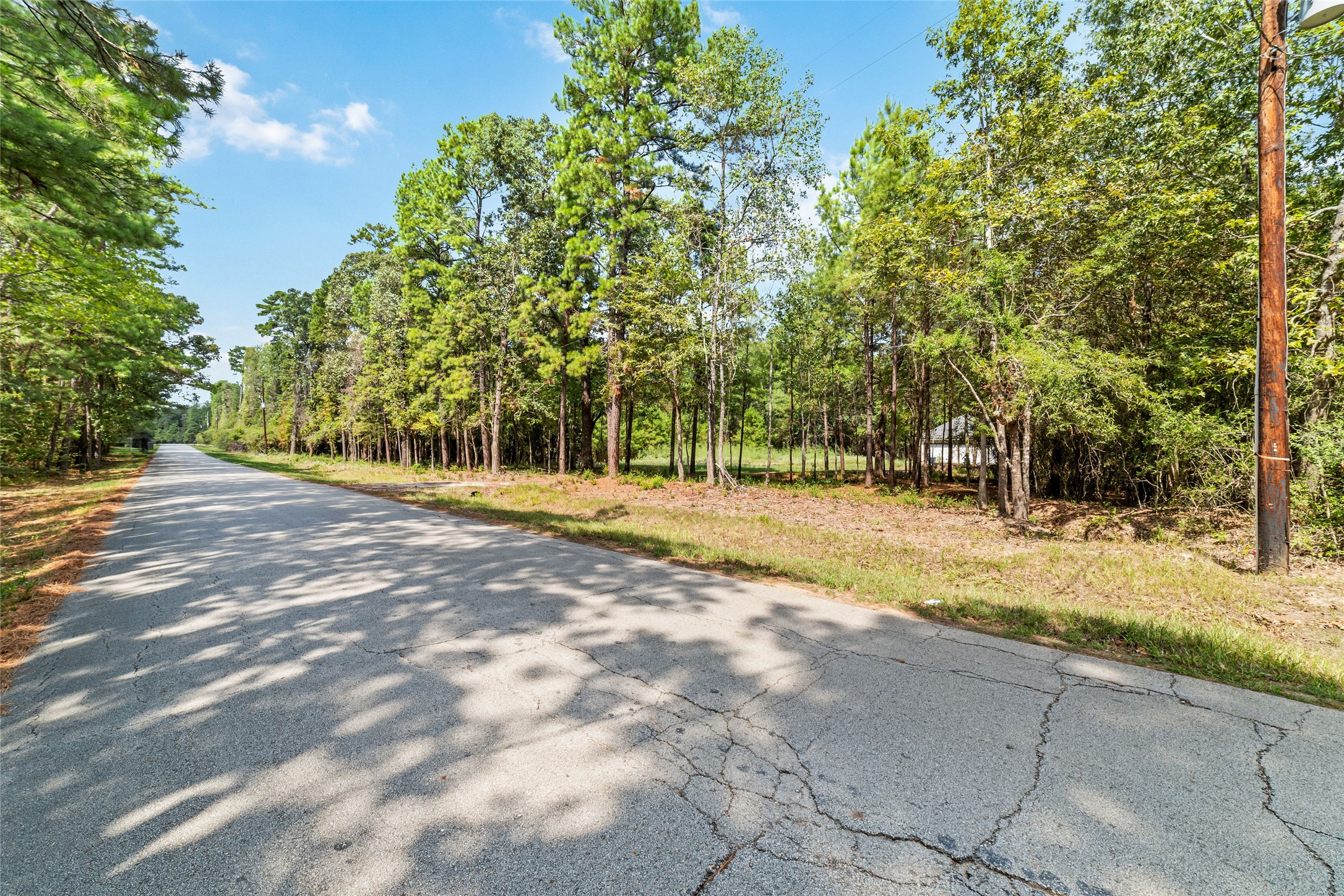 40719 Country Forest Drive Property Photo 2