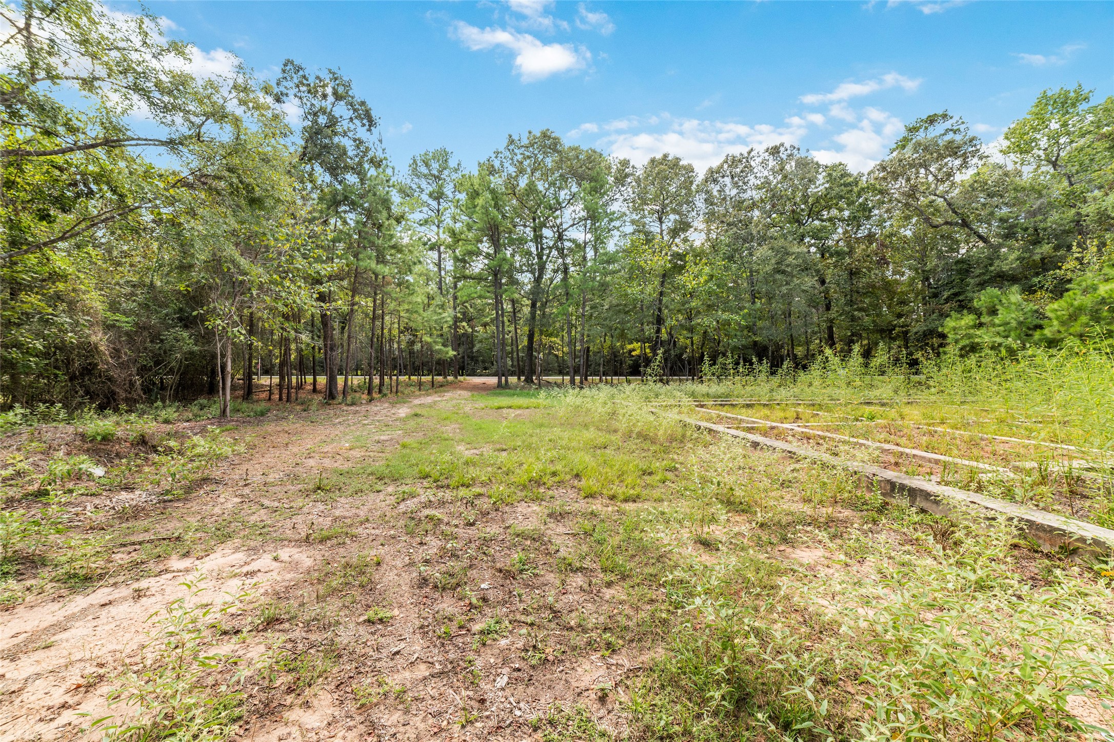 40719 Country Forest Drive Property Photo 6