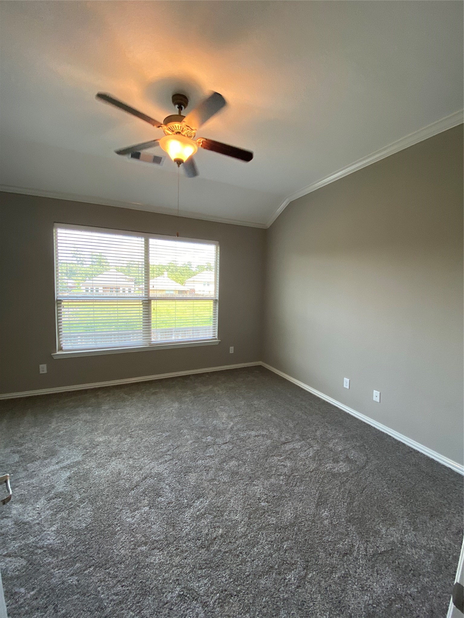 42 Black Swan Court Property Photo 29