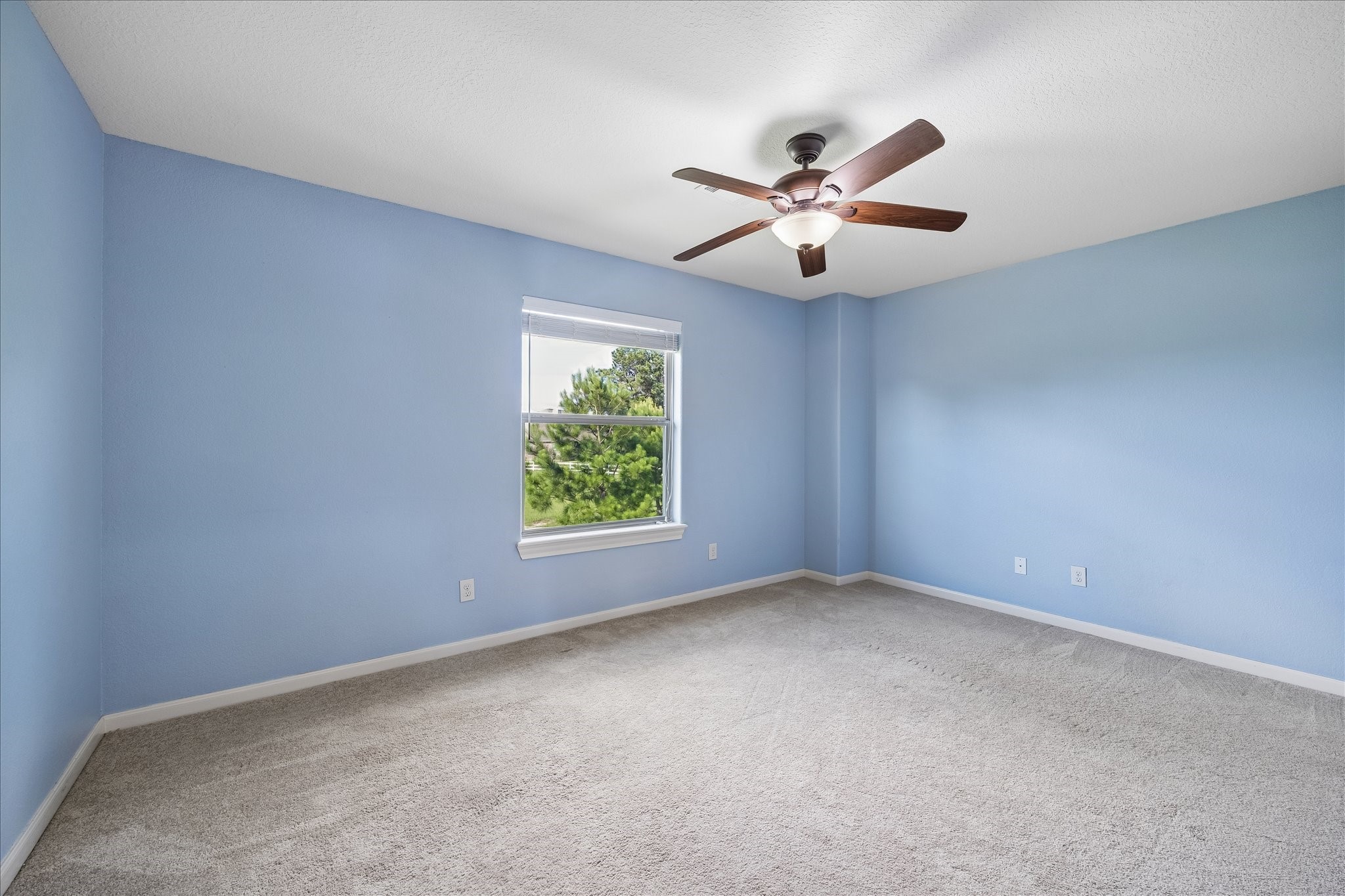 8871 Taylors Court Property Photo 24