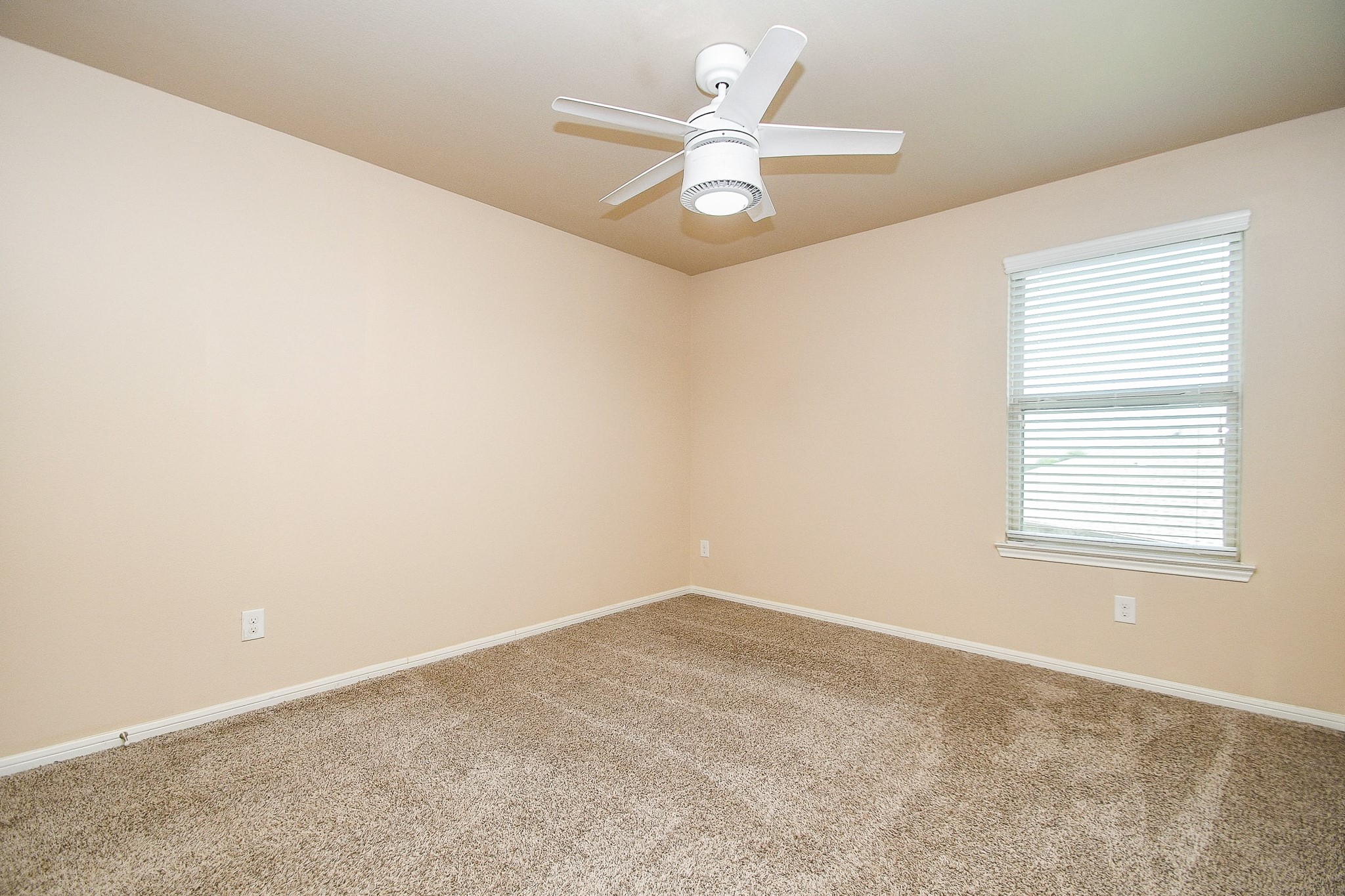 29251 Jacobs River Drive Property Photo 23