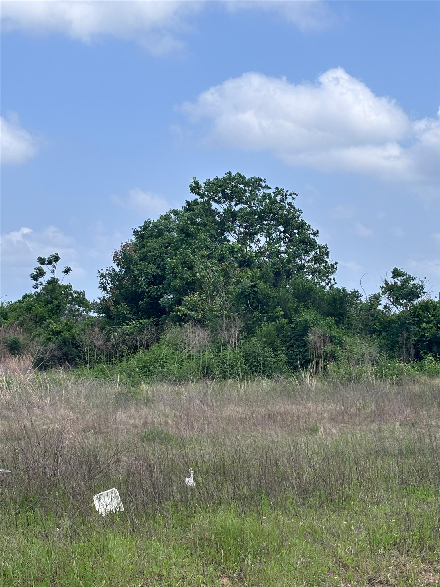 2034 Road 5702 Property Photo 1