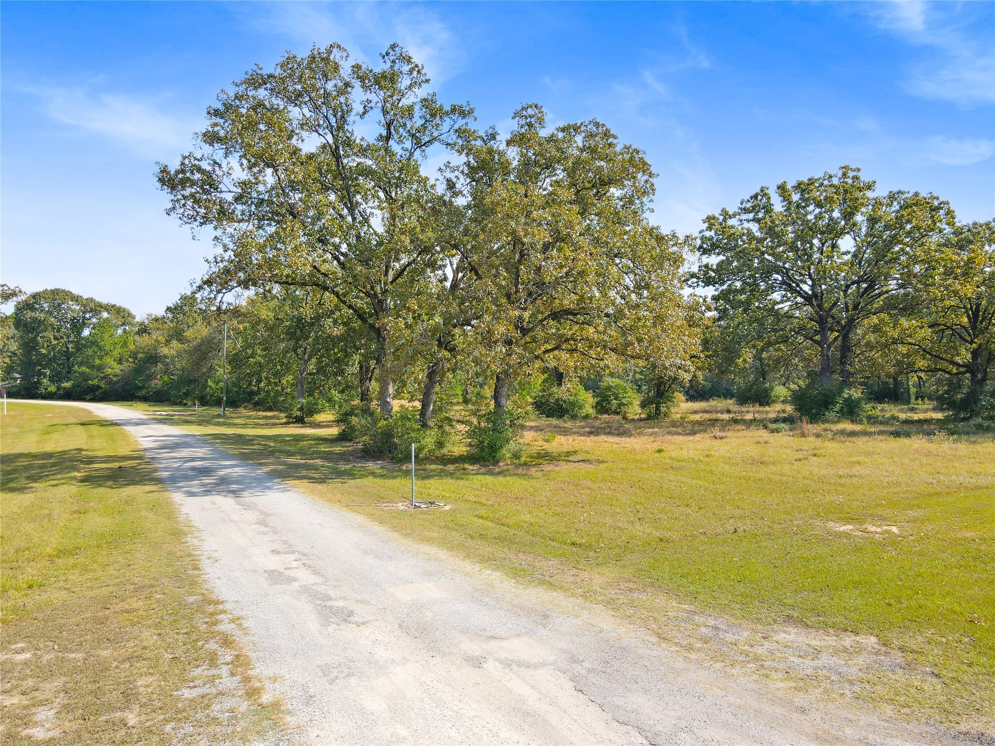 Lot 36 Lake Livingston Lane Property Photo 7