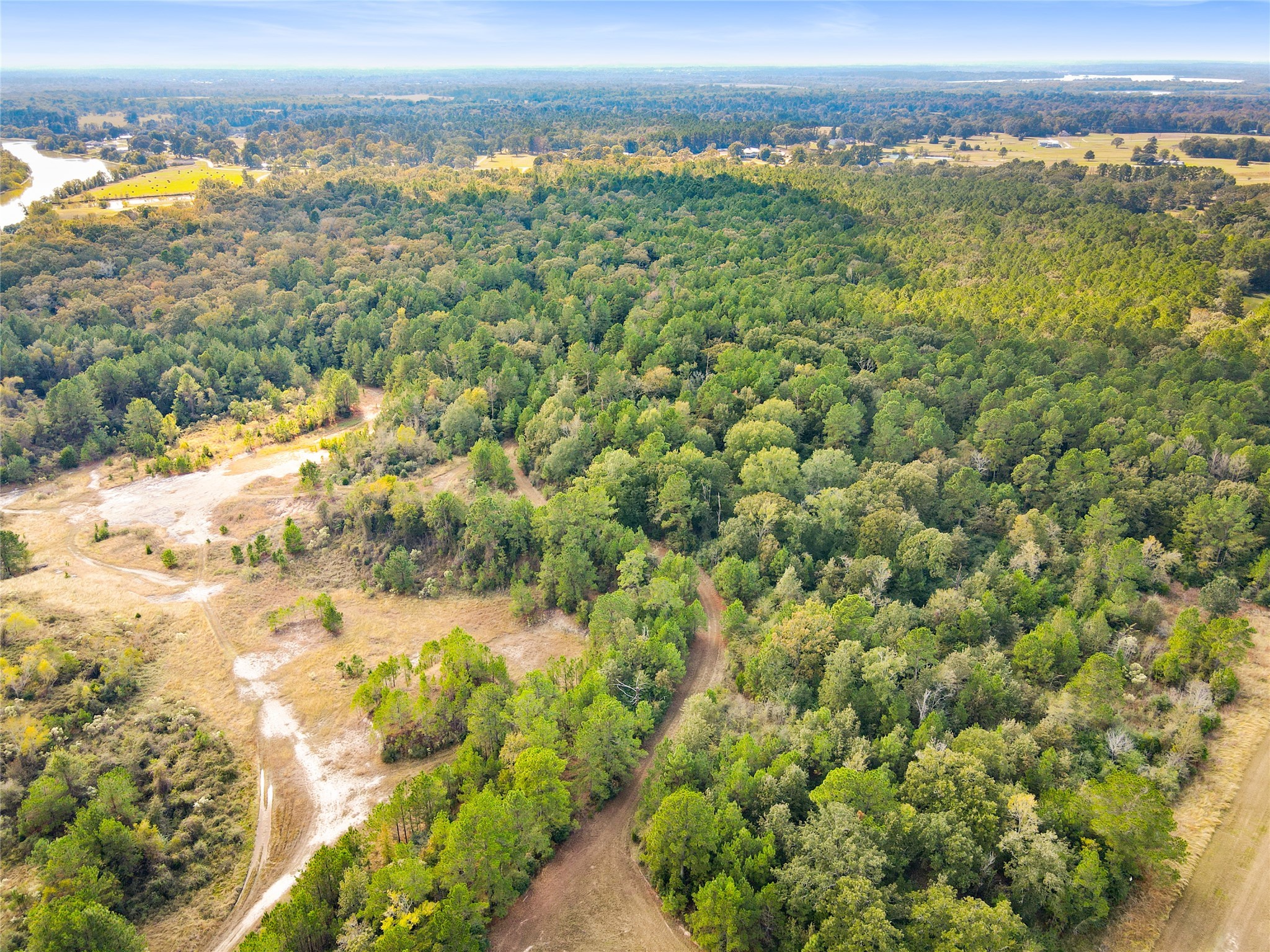 Lot 36 Lake Livingston Lane Property Photo 12