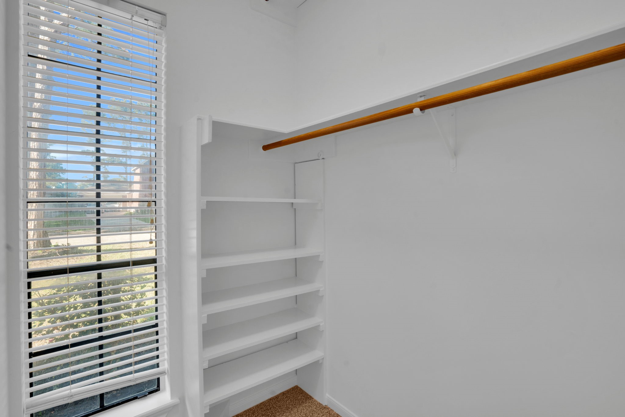 12411 Exbury Court Property Photo 29