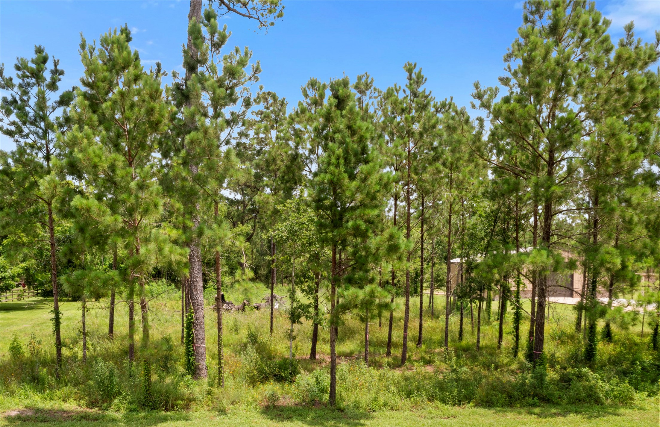 7203 Bayou Timbers Drive Property Photo 1