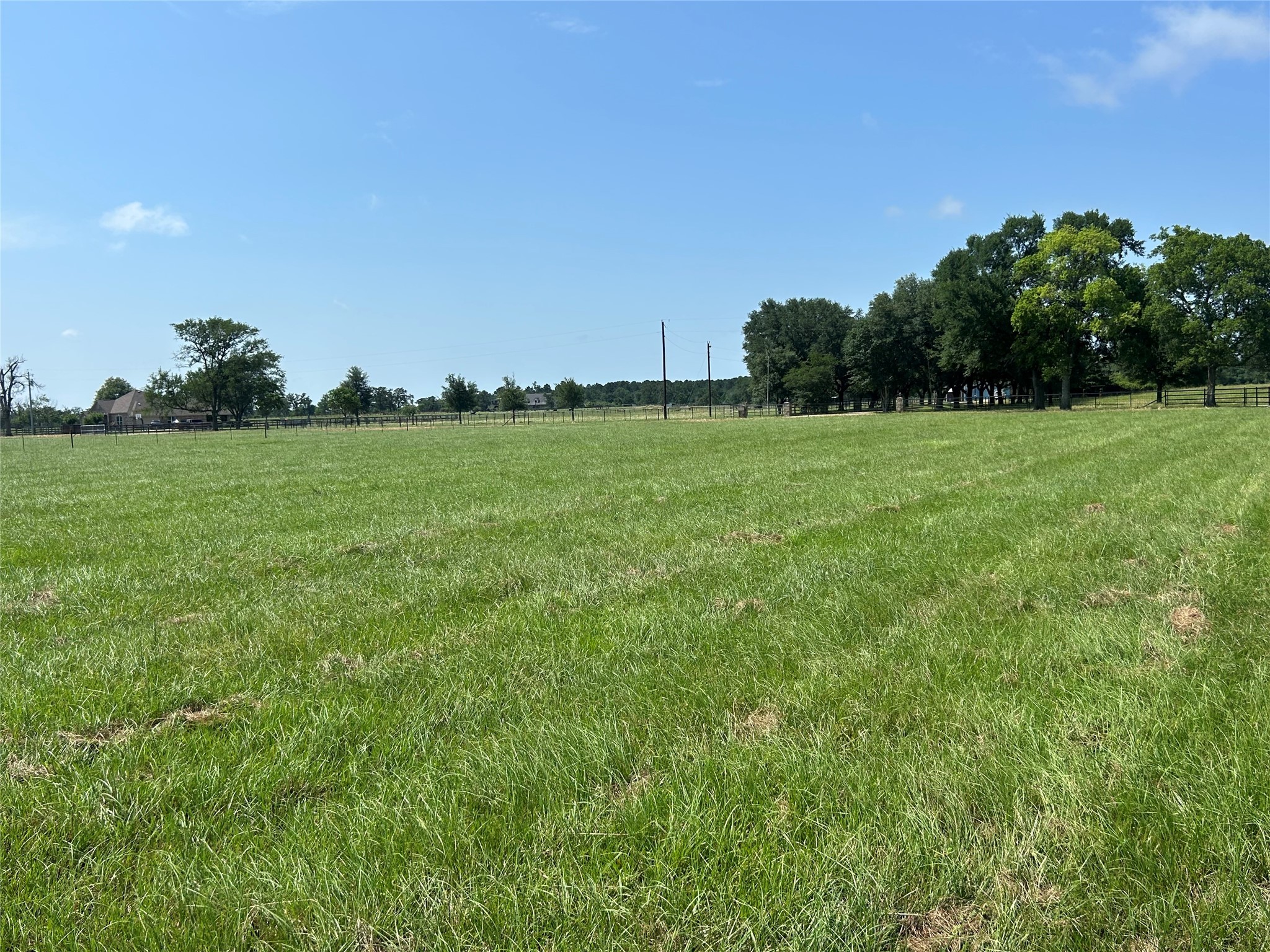 38645 Wiggins Road Property Photo 3