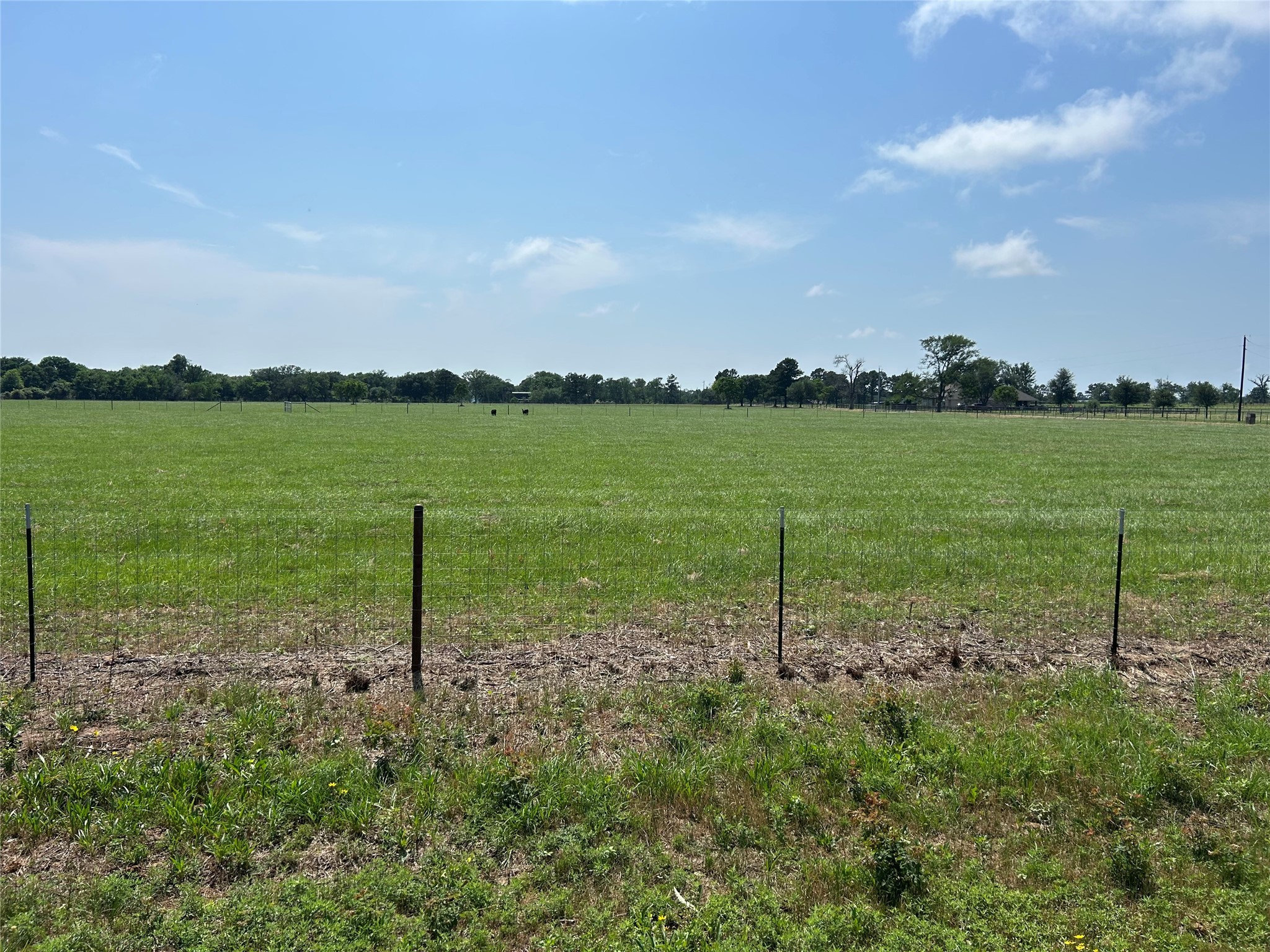 38645 Wiggins Road Property Photo 5