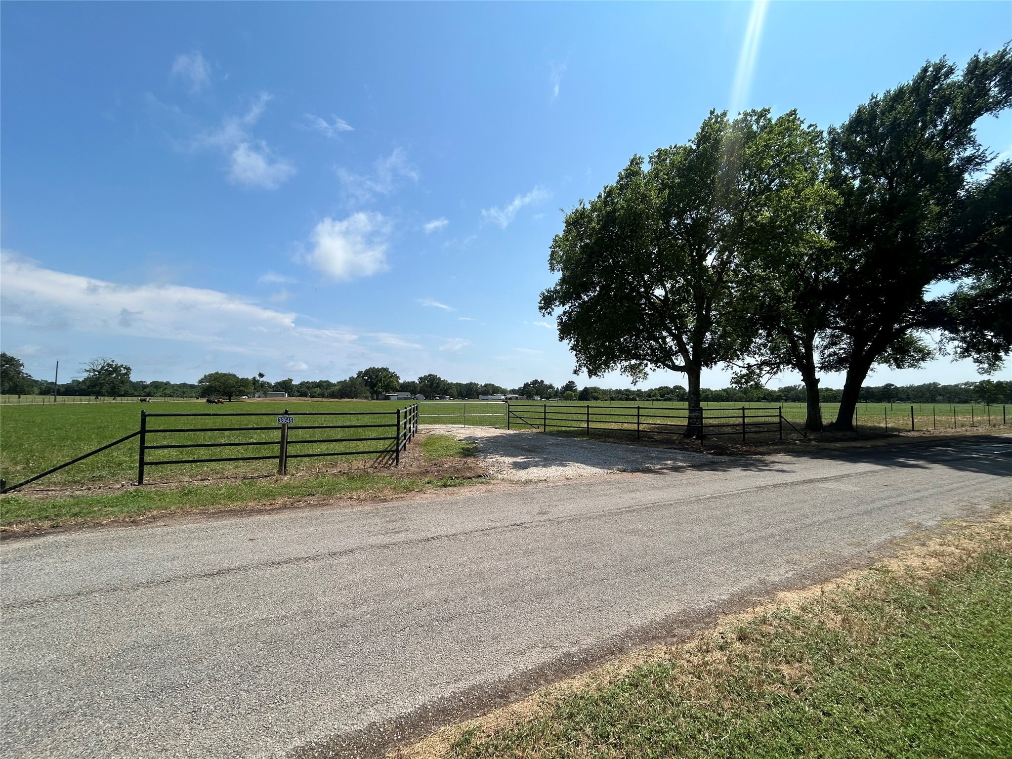 38645 Wiggins Road Property Photo 8