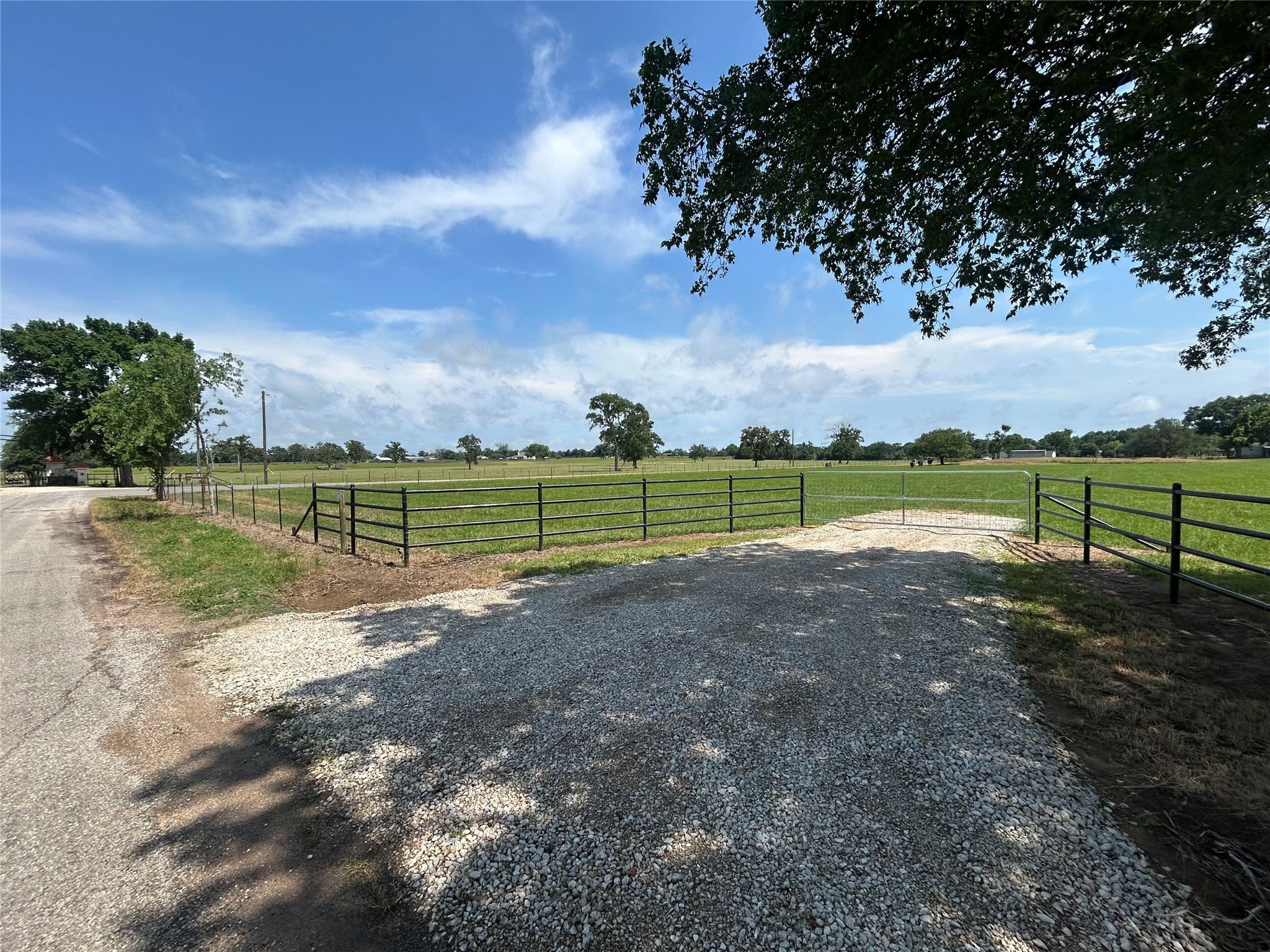 38645 Wiggins Road Property Photo 10