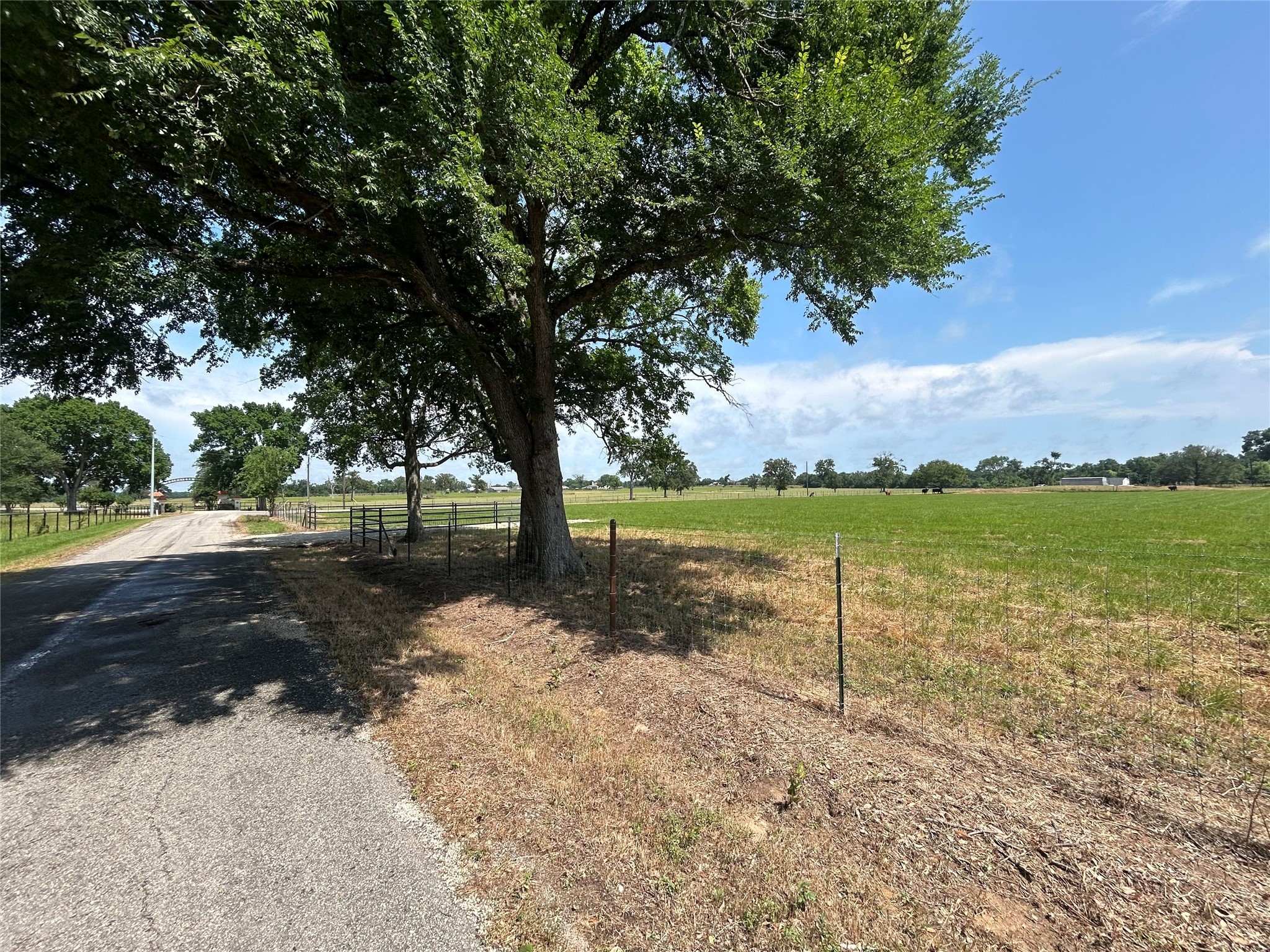 38645 Wiggins Road Property Photo 12