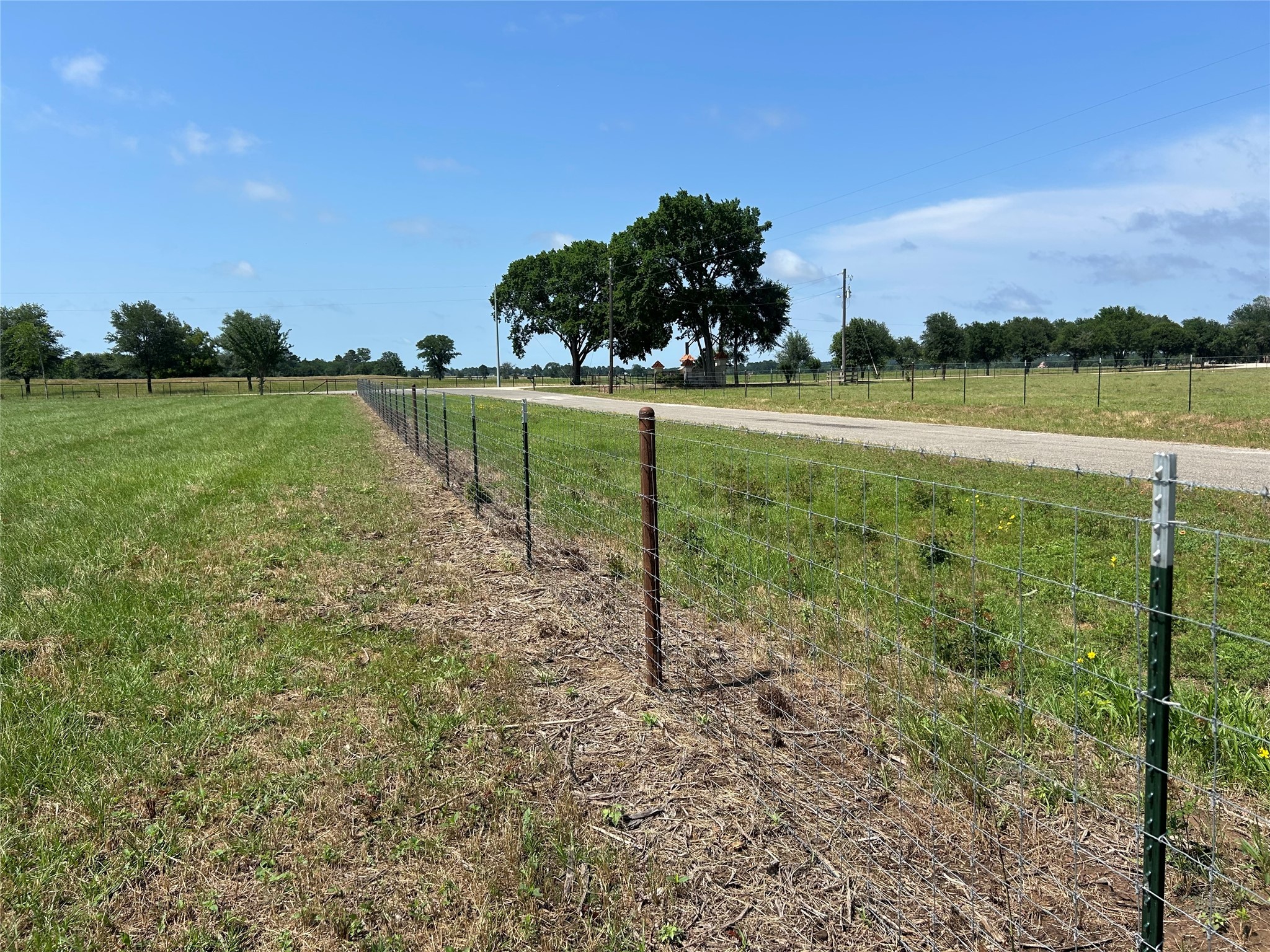 38645 Wiggins Road Property Photo 13