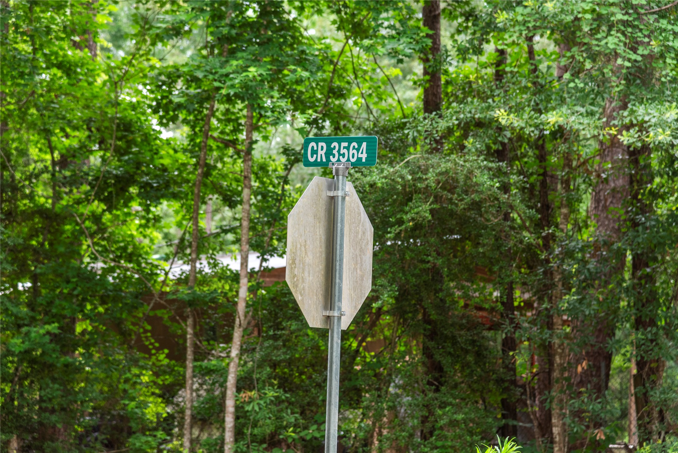 8 Cr 3564 Property Photo 11
