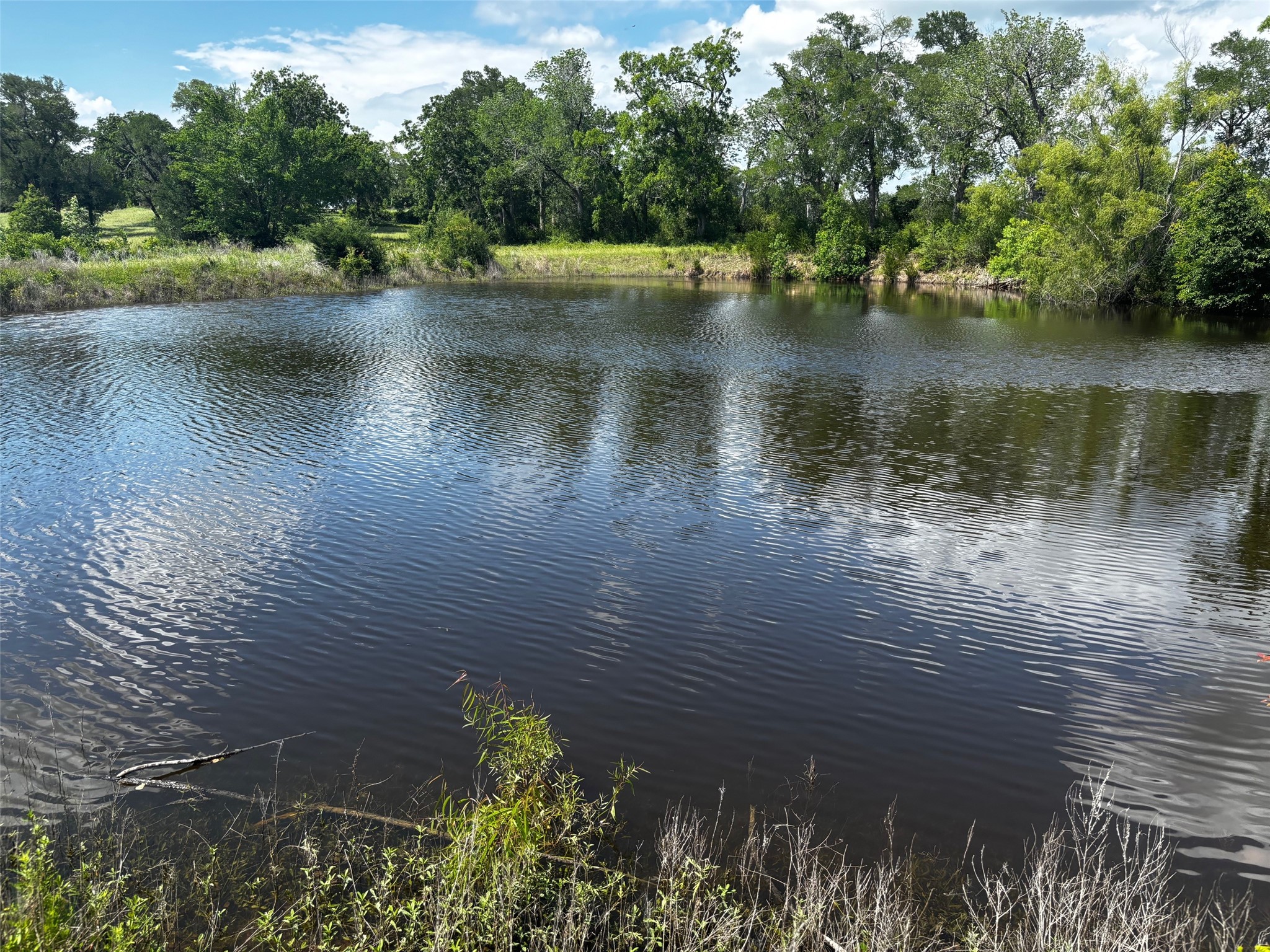 144 Century Lane Property Photo 4