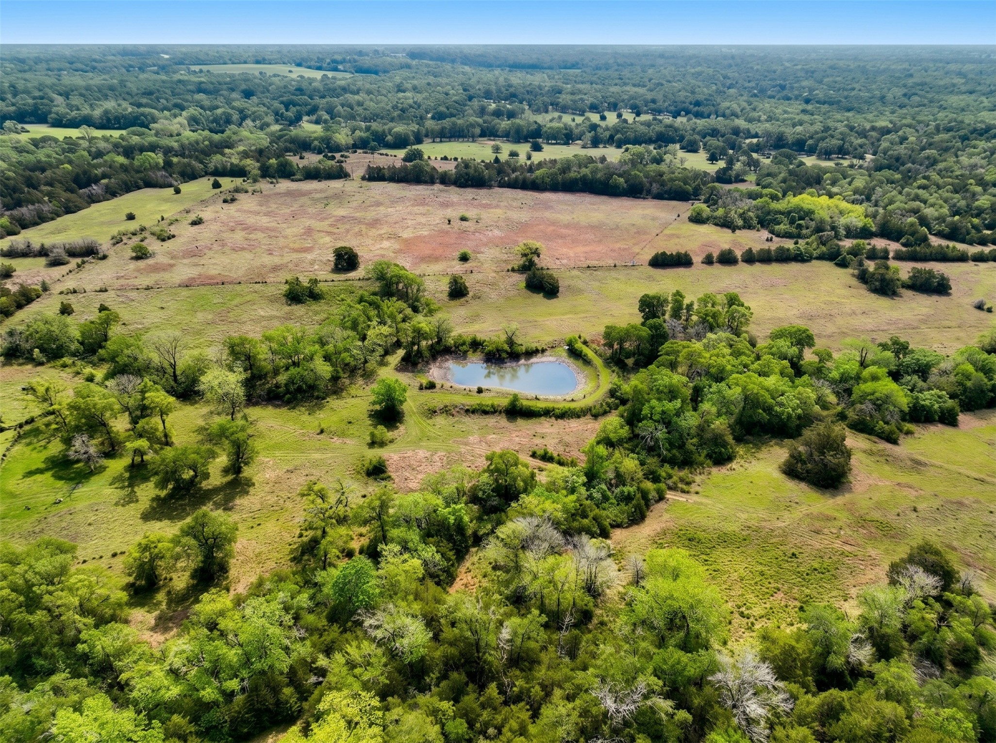 144 Century Lane Property Photo 14