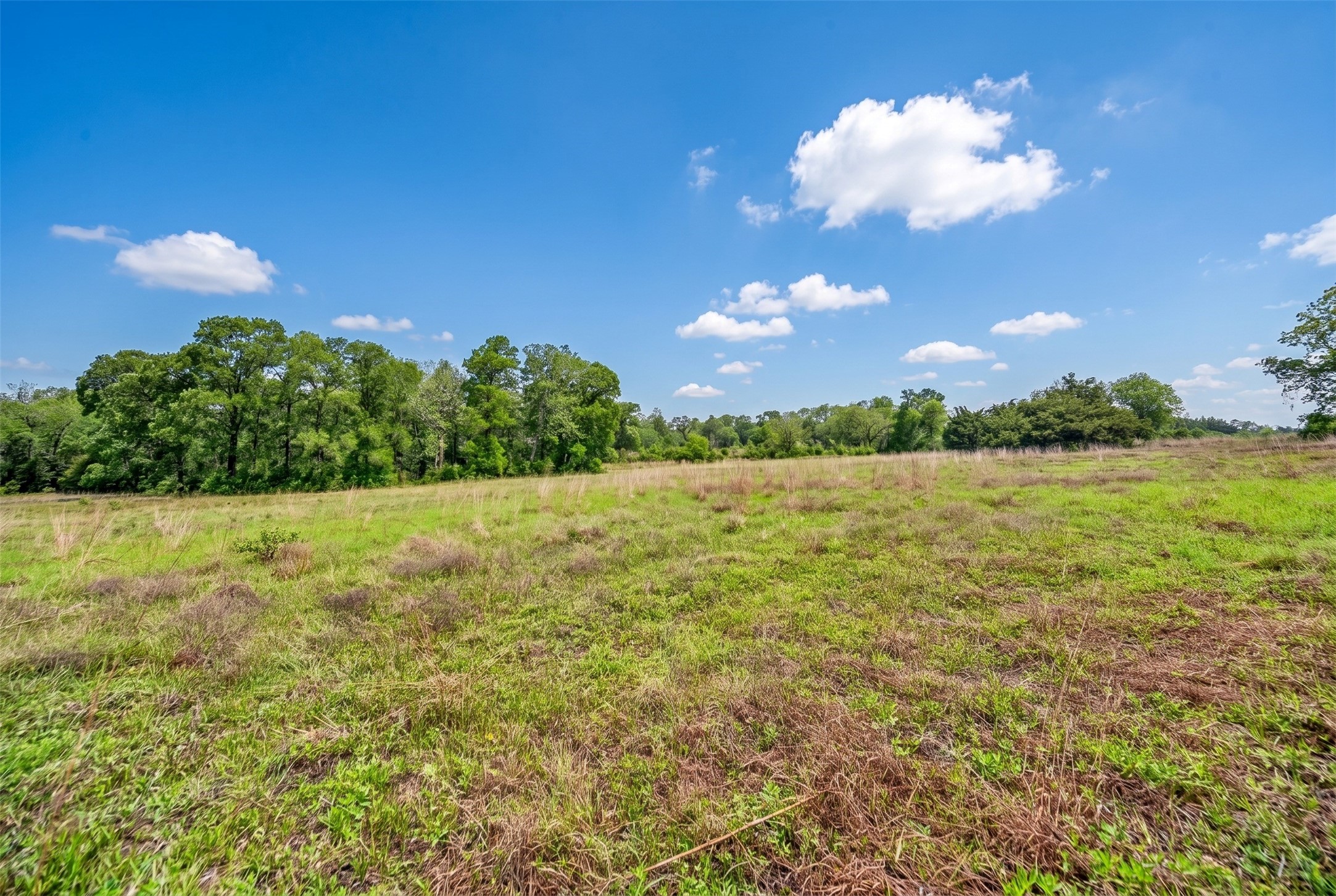 144 Century Lane Property Photo 16