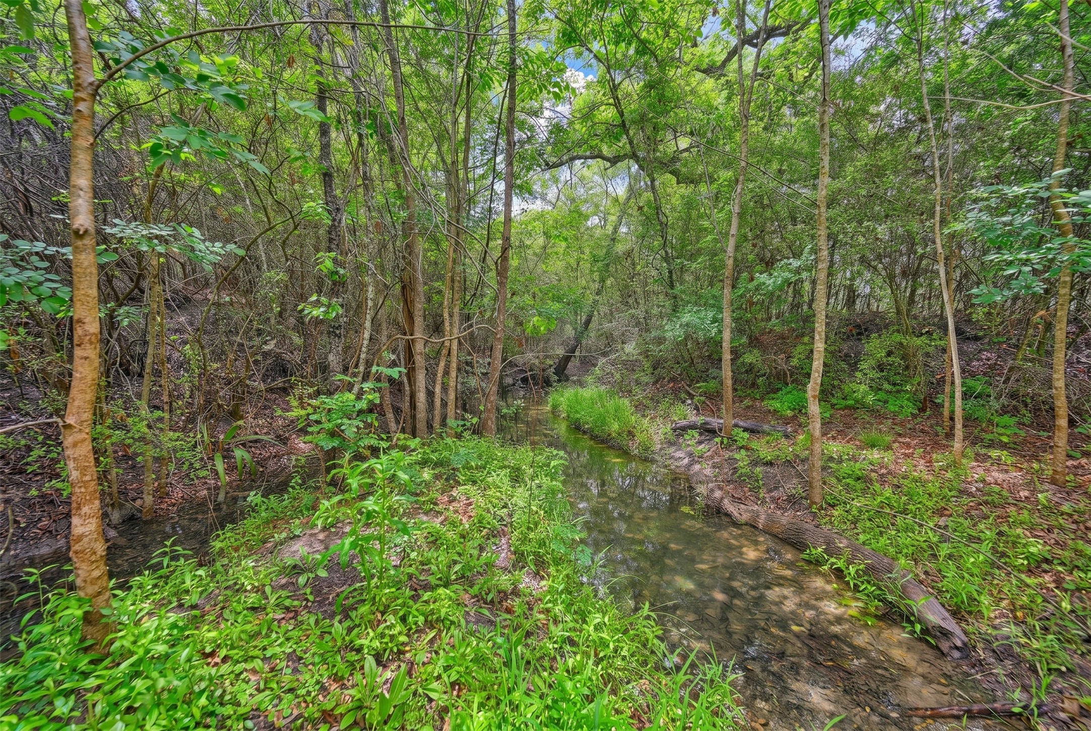 144 Century Lane Property Photo 17