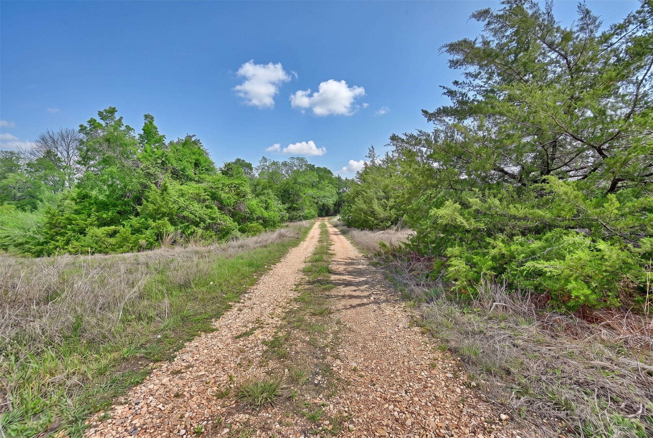 144 Century Lane Property Photo 18