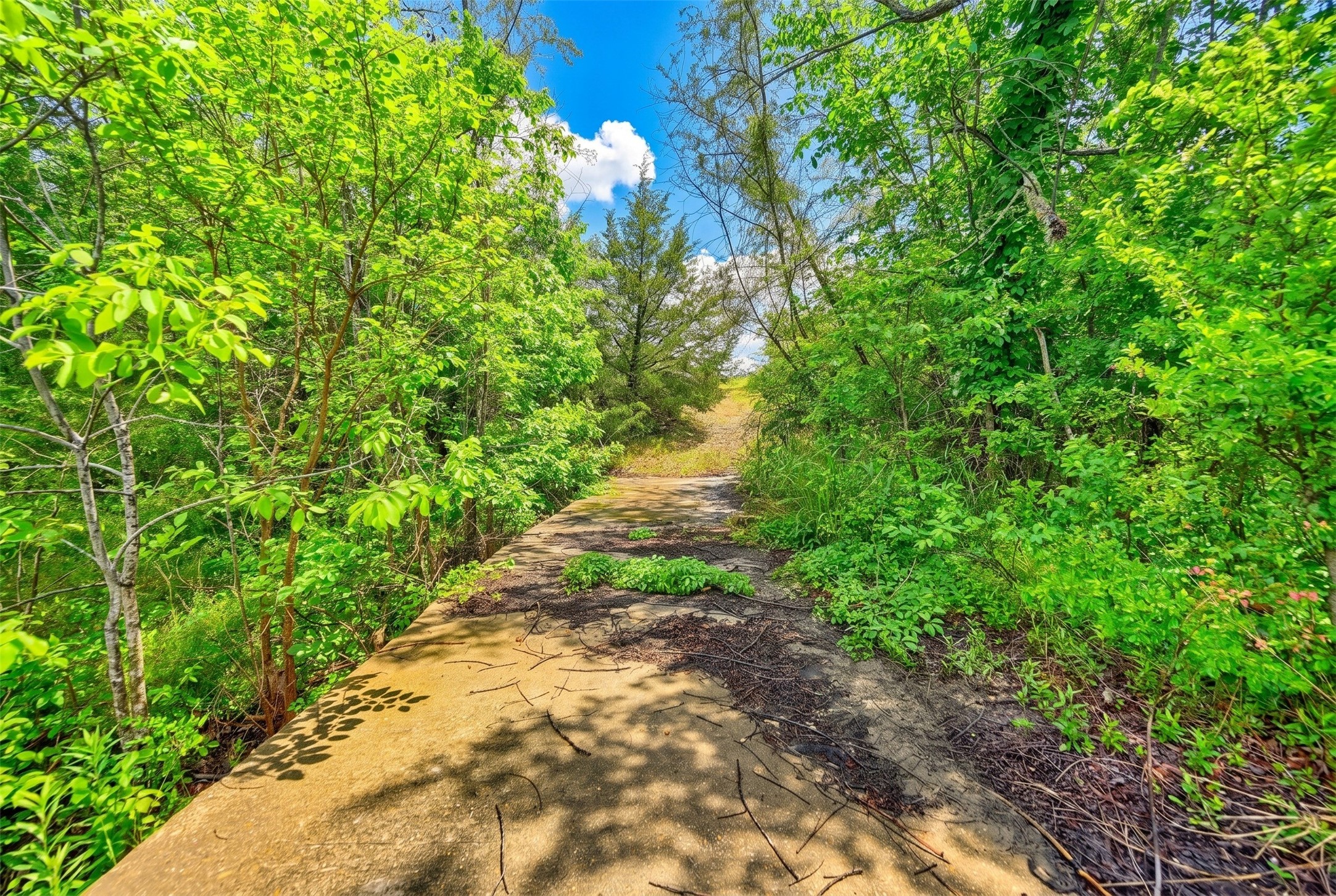 144 Century Lane Property Photo 41