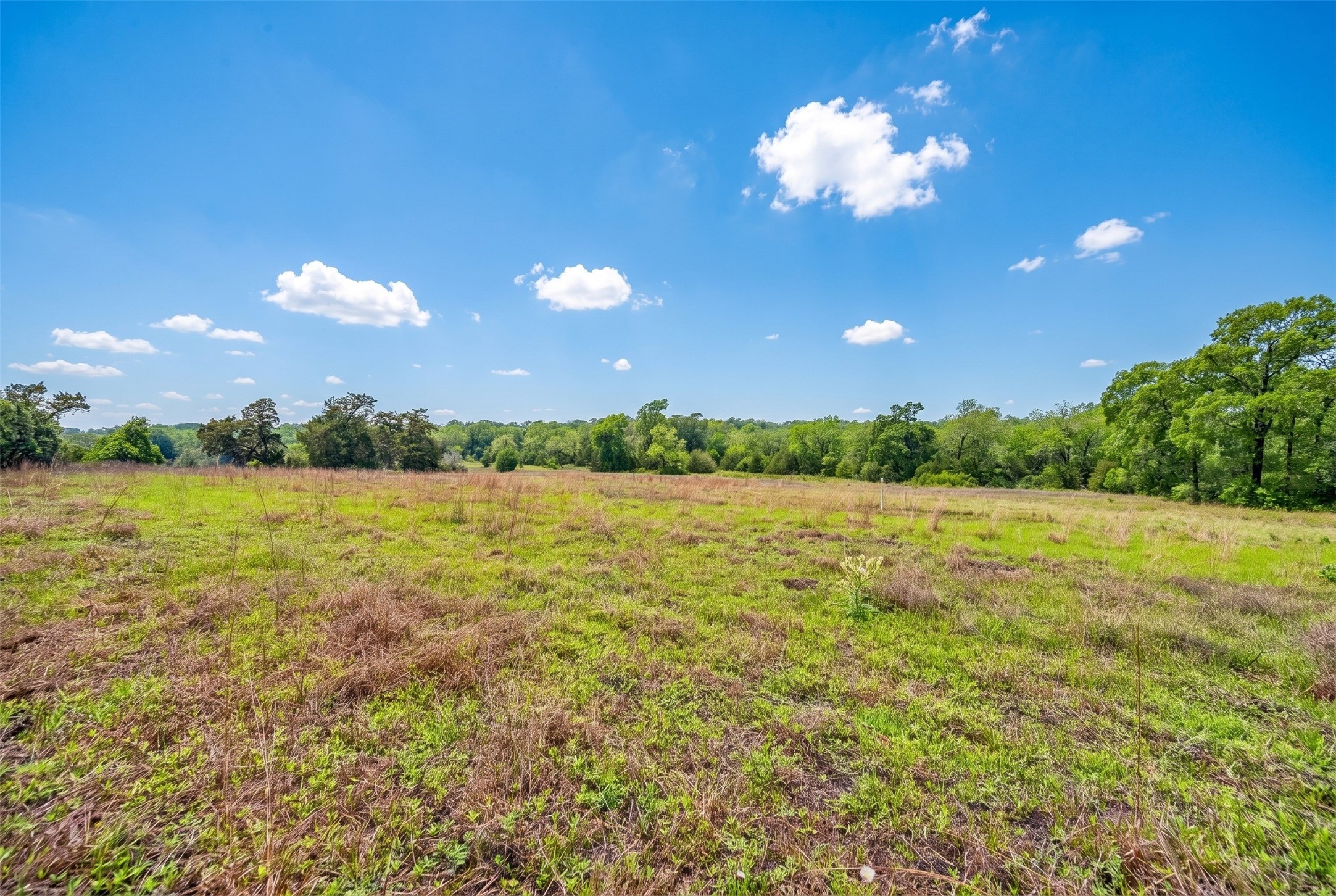 144 Century Lane Property Photo 42
