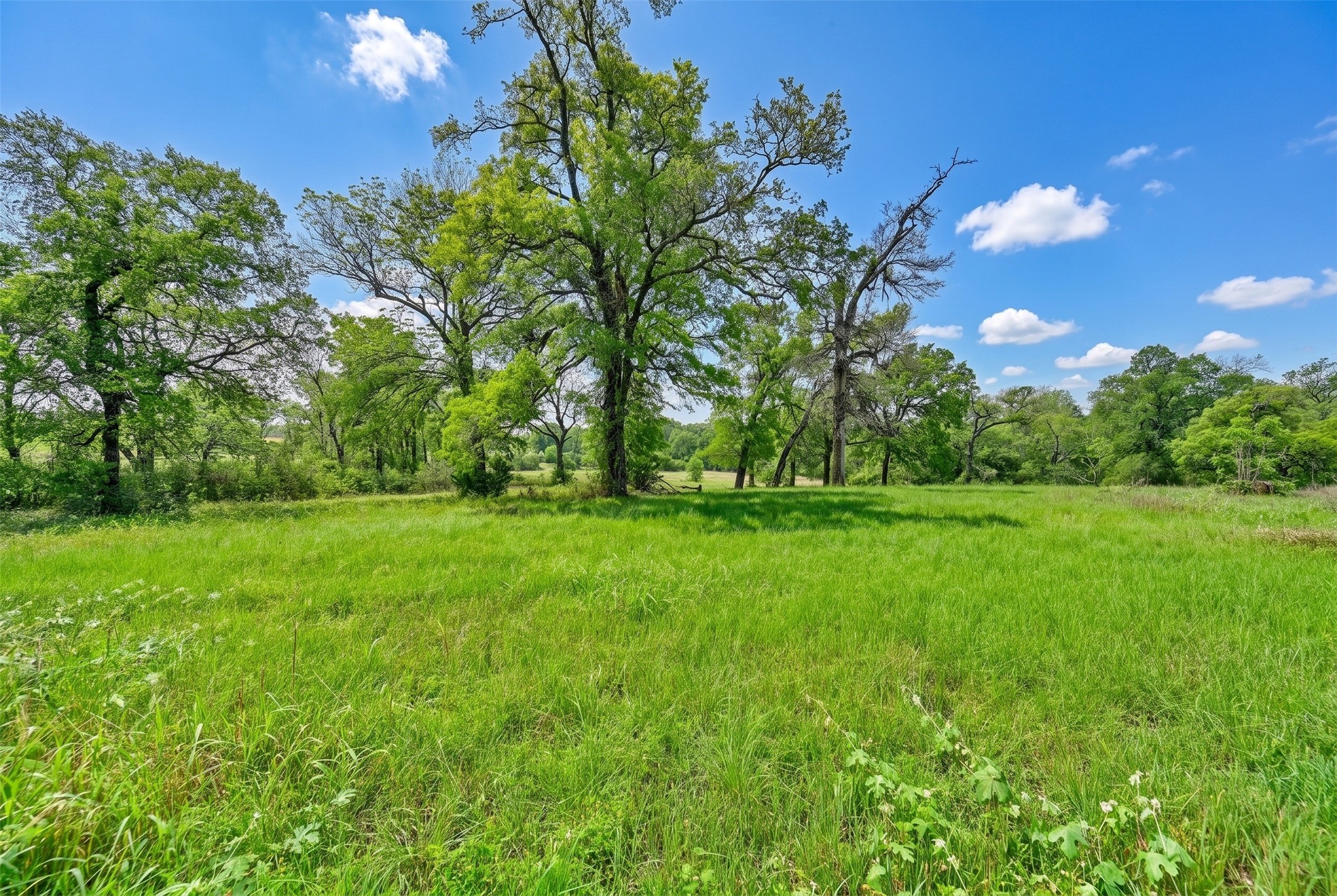 144 Century Lane Property Photo 43