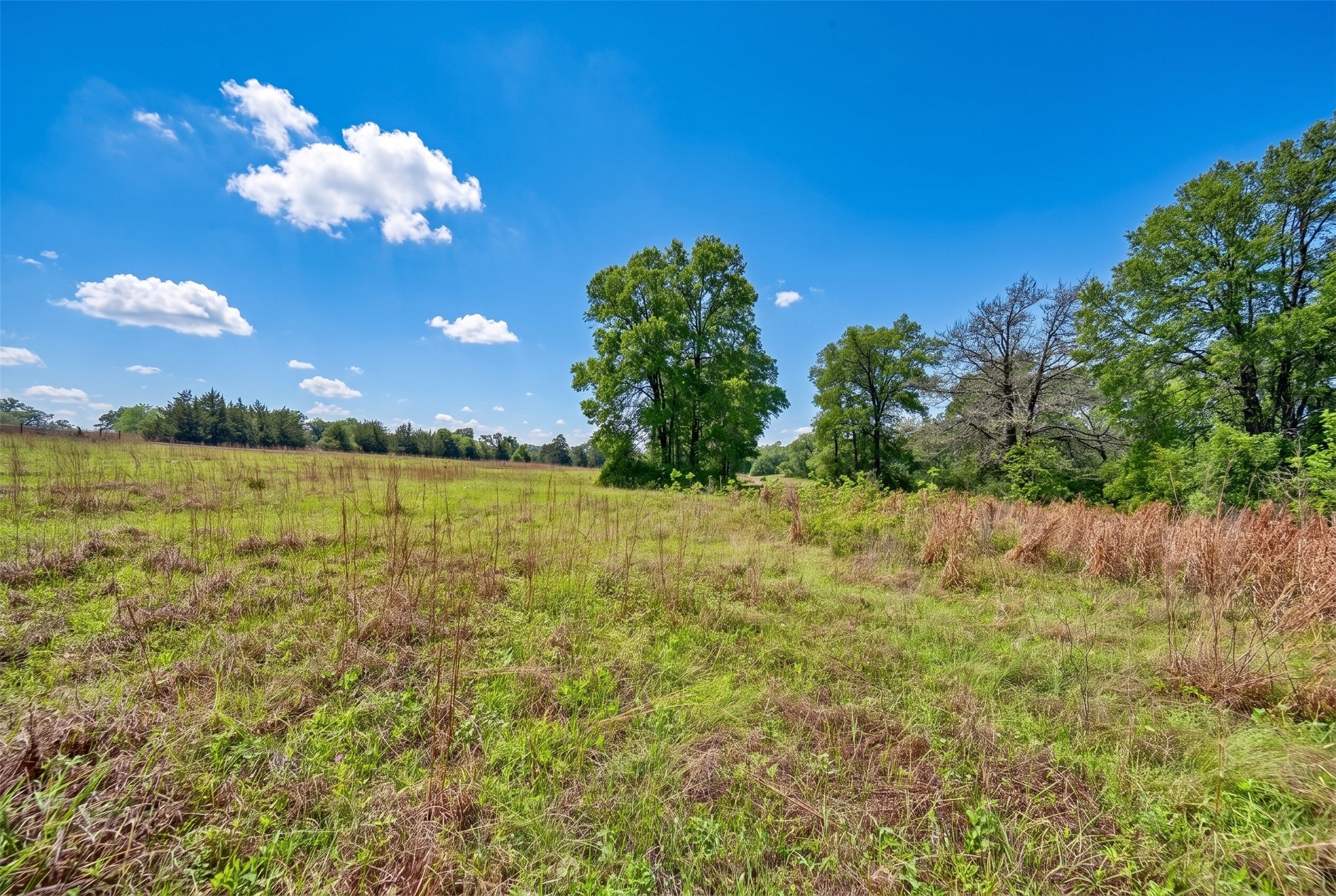 144 Century Lane Property Photo 44