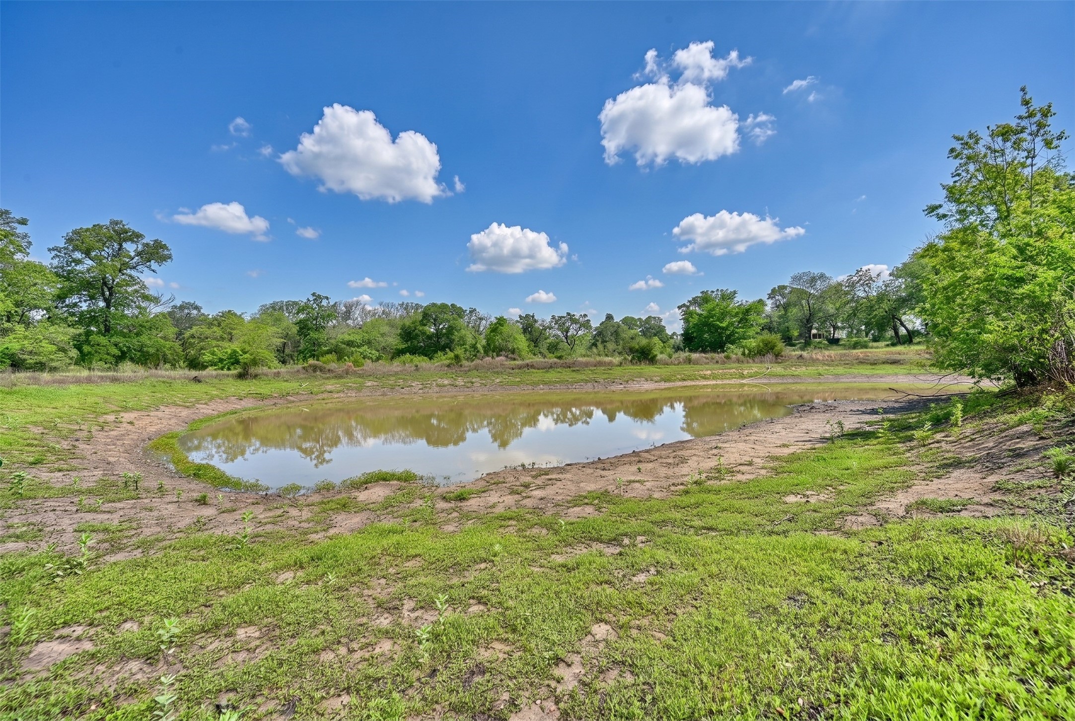 144 Century Lane Property Photo 45