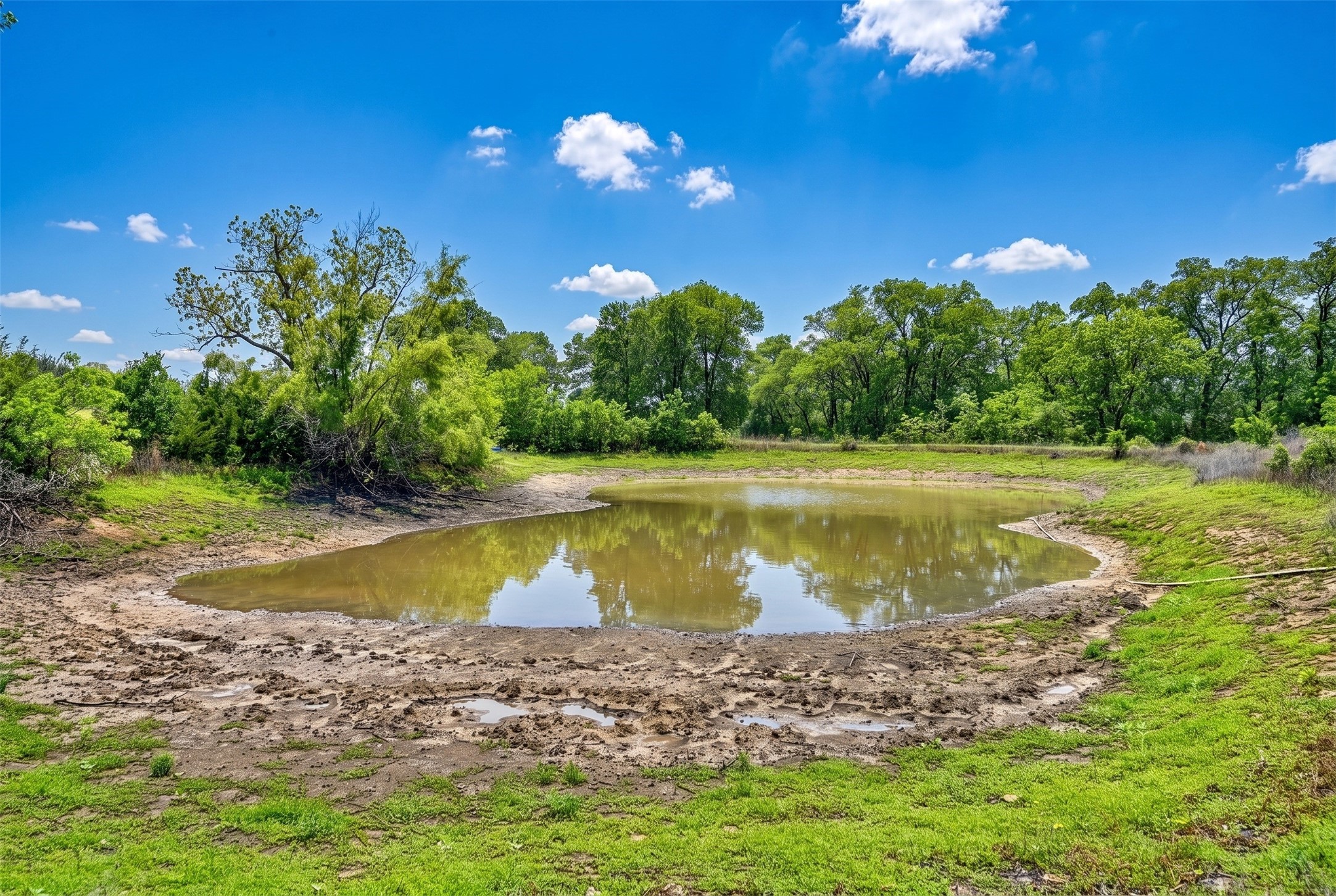 144 Century Lane Property Photo 46