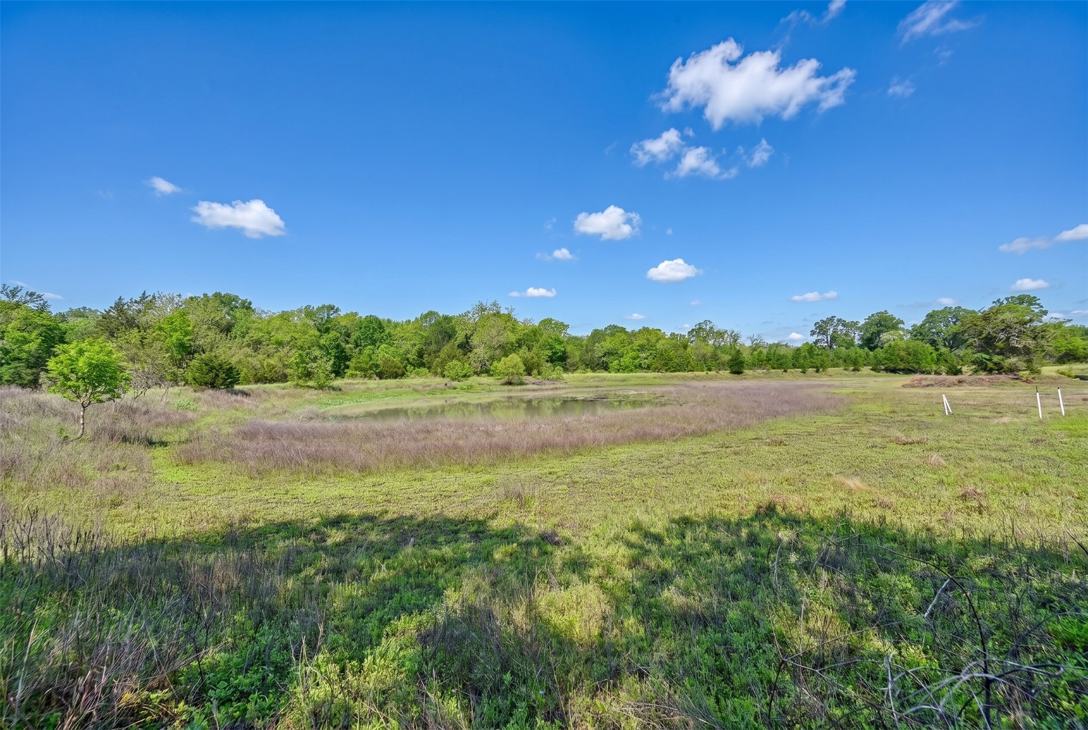 144 Century Lane Property Photo 47