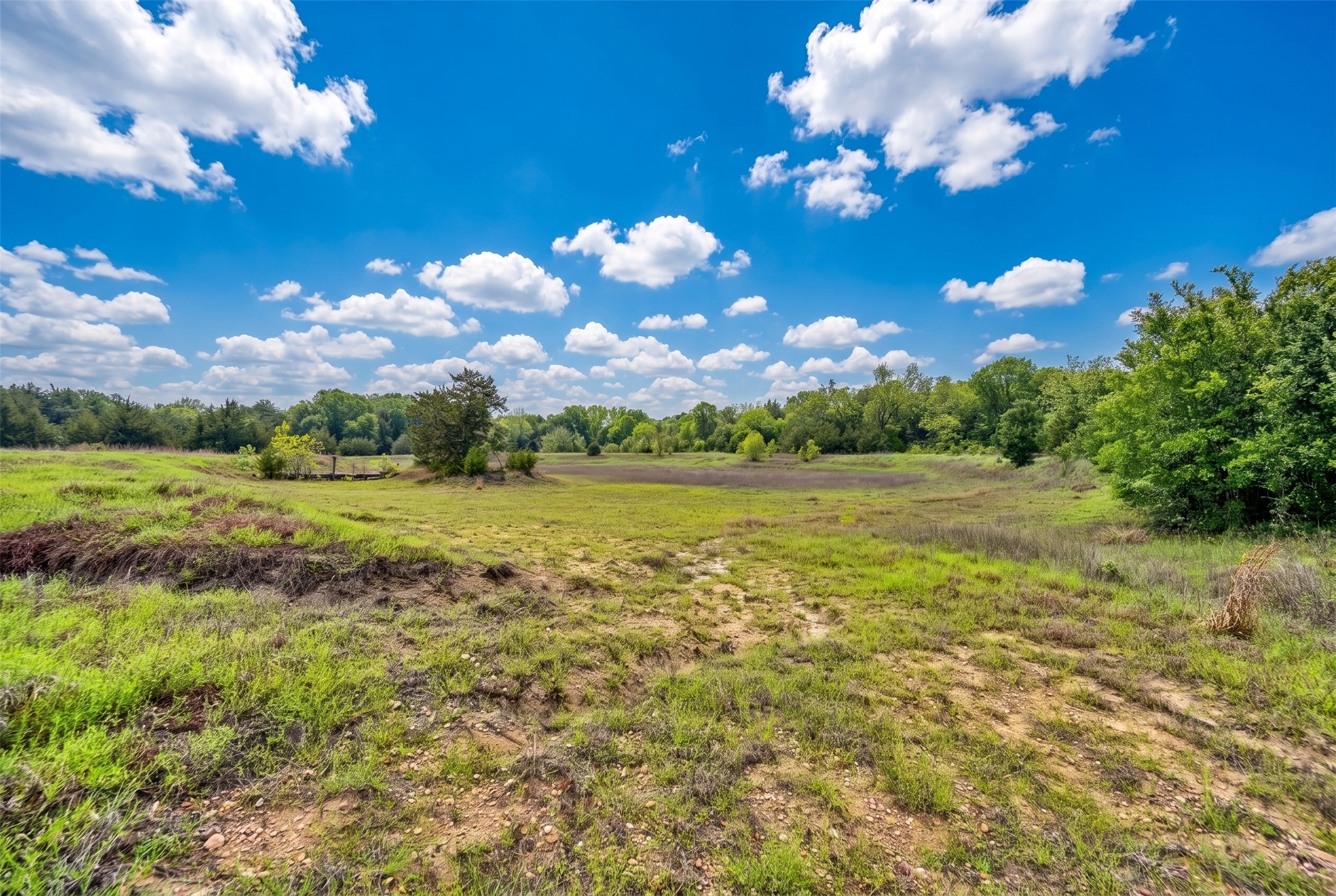 144 Century Lane Property Photo 48