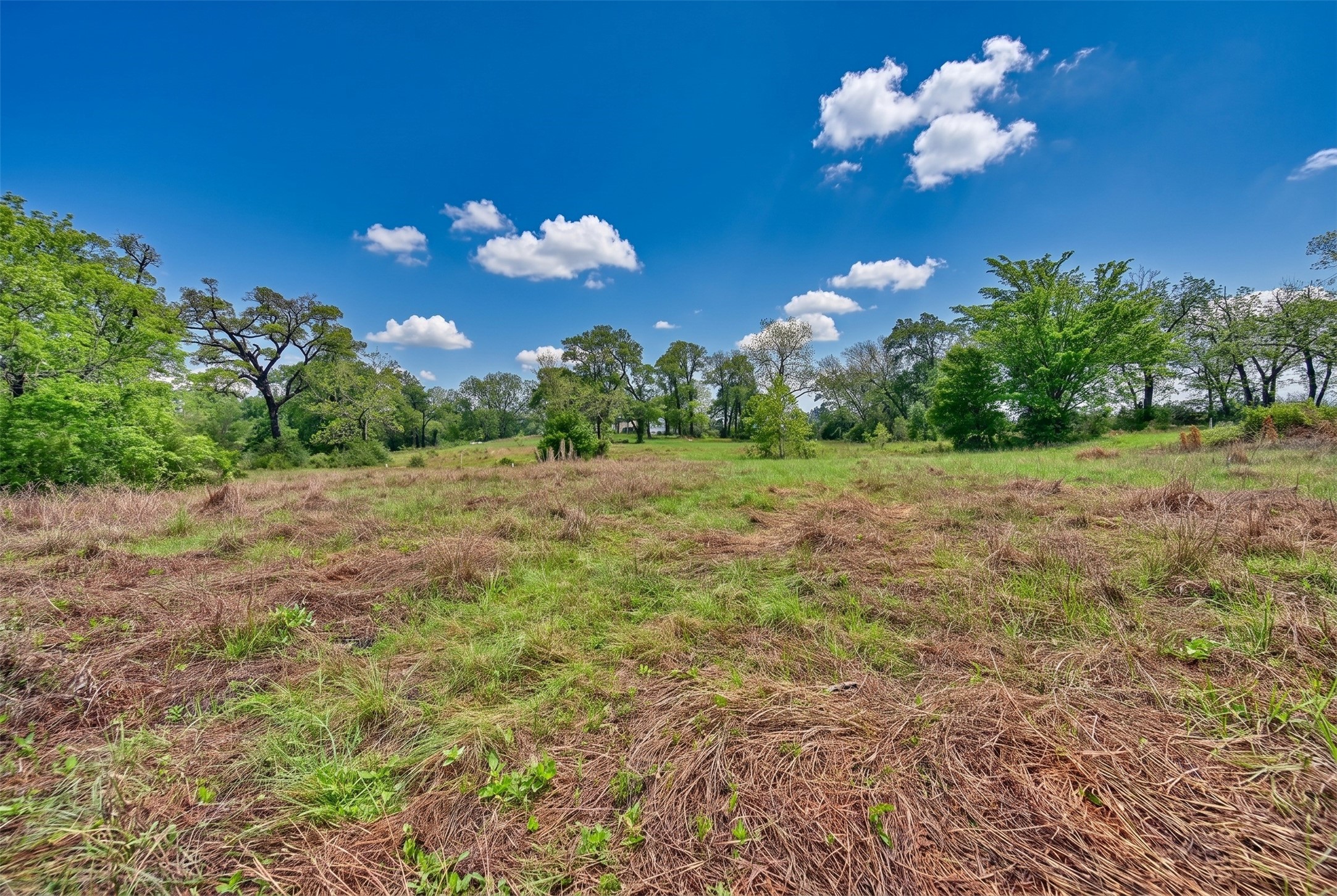 144 Century Lane Property Photo 49