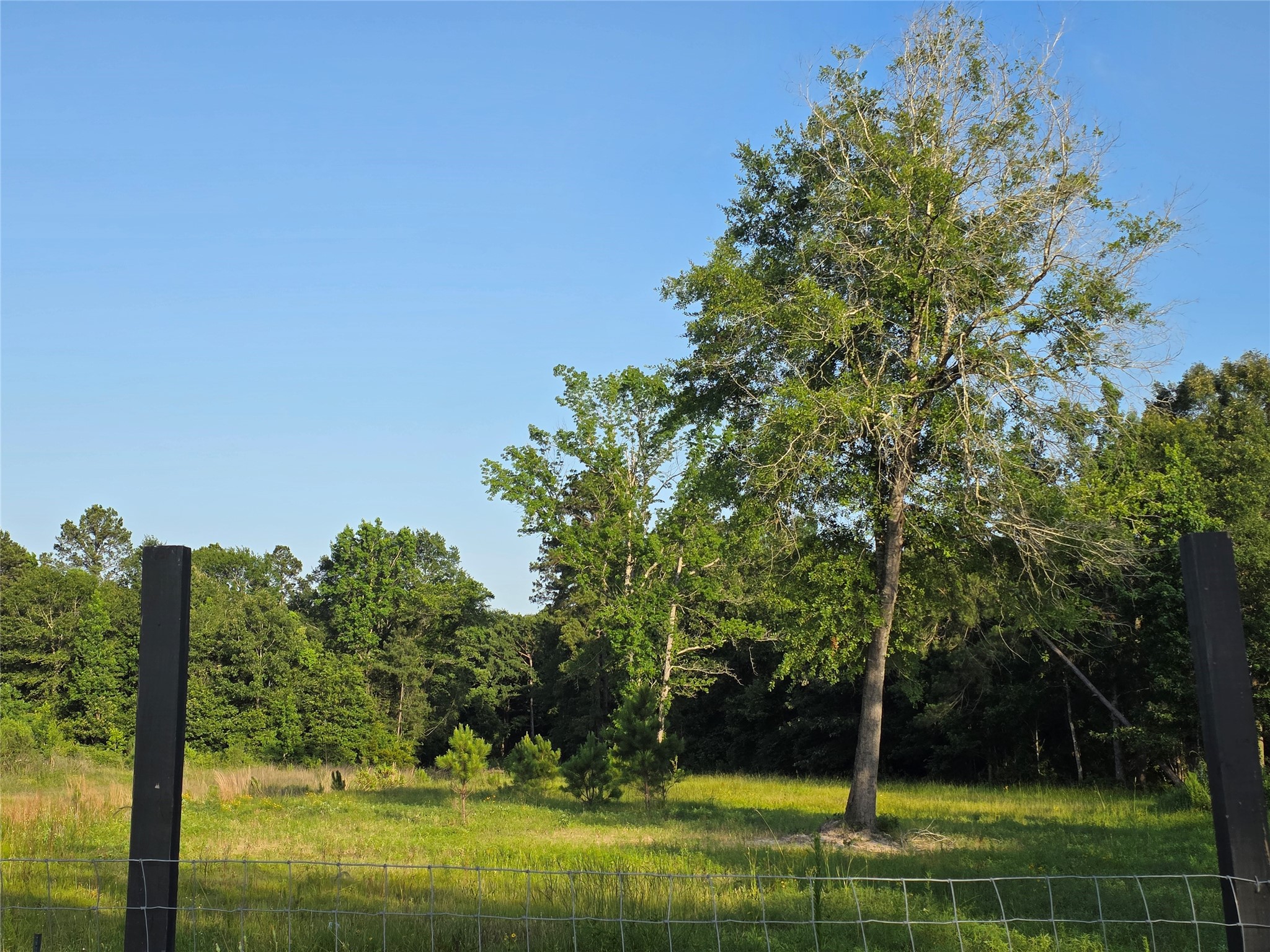 1322 Road 5263 Property Photo 9