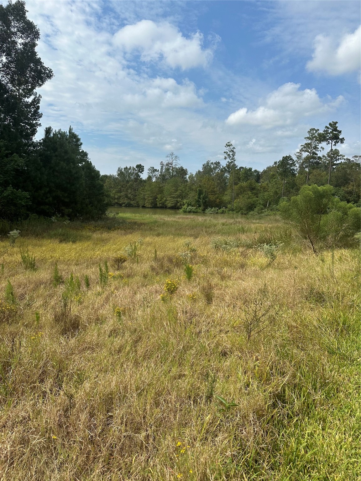 0 Mendecino Glen Lane Property Photo 3
