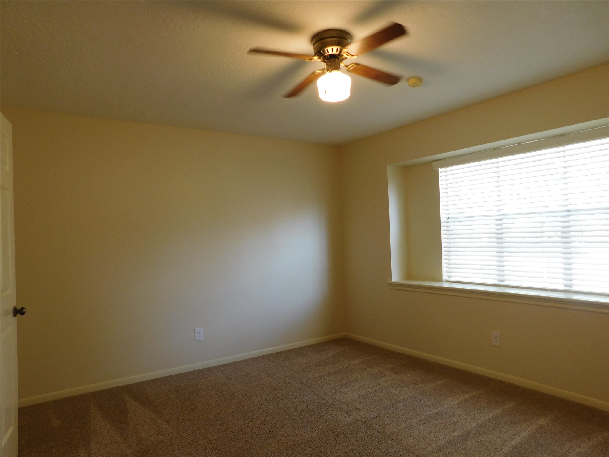 4 Kingsley Court Property Photo 13