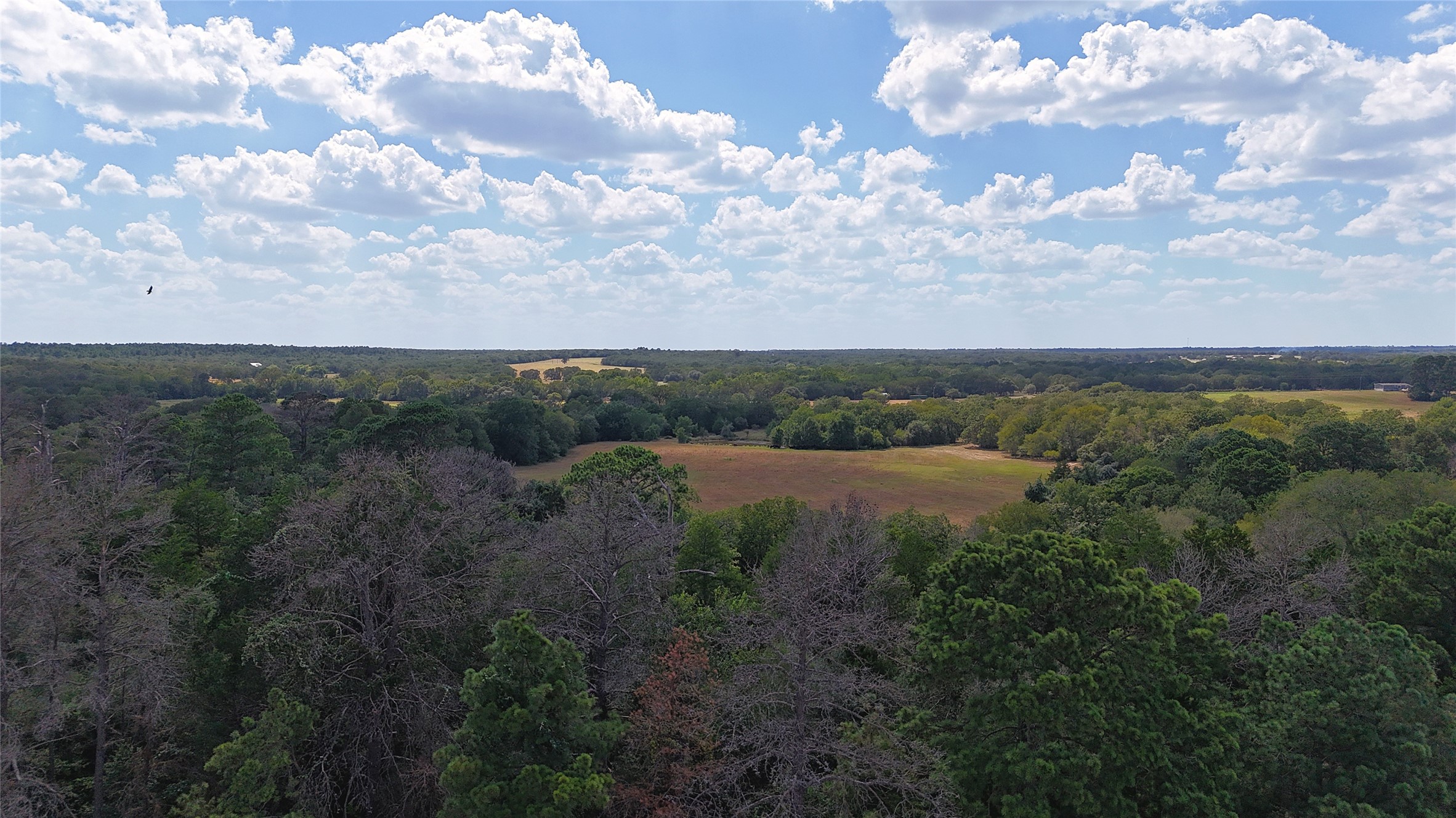 Tbd (tract 8 And 13) Saint Delight Road Property Photo 5