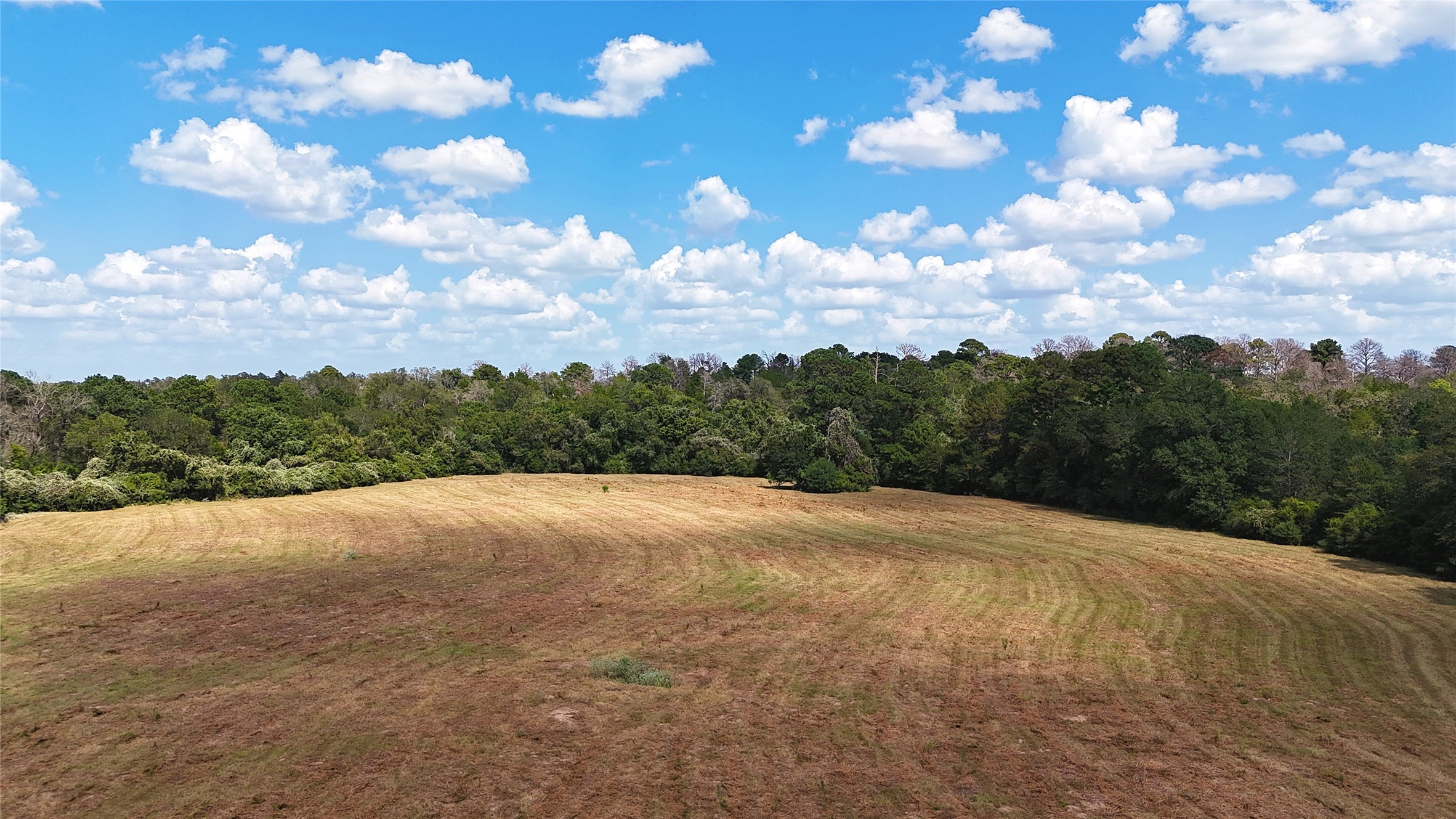 Tbd (tract 8 And 13) Saint Delight Road Property Photo 6